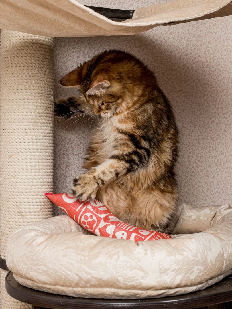 Product CTM0917803 photo 15