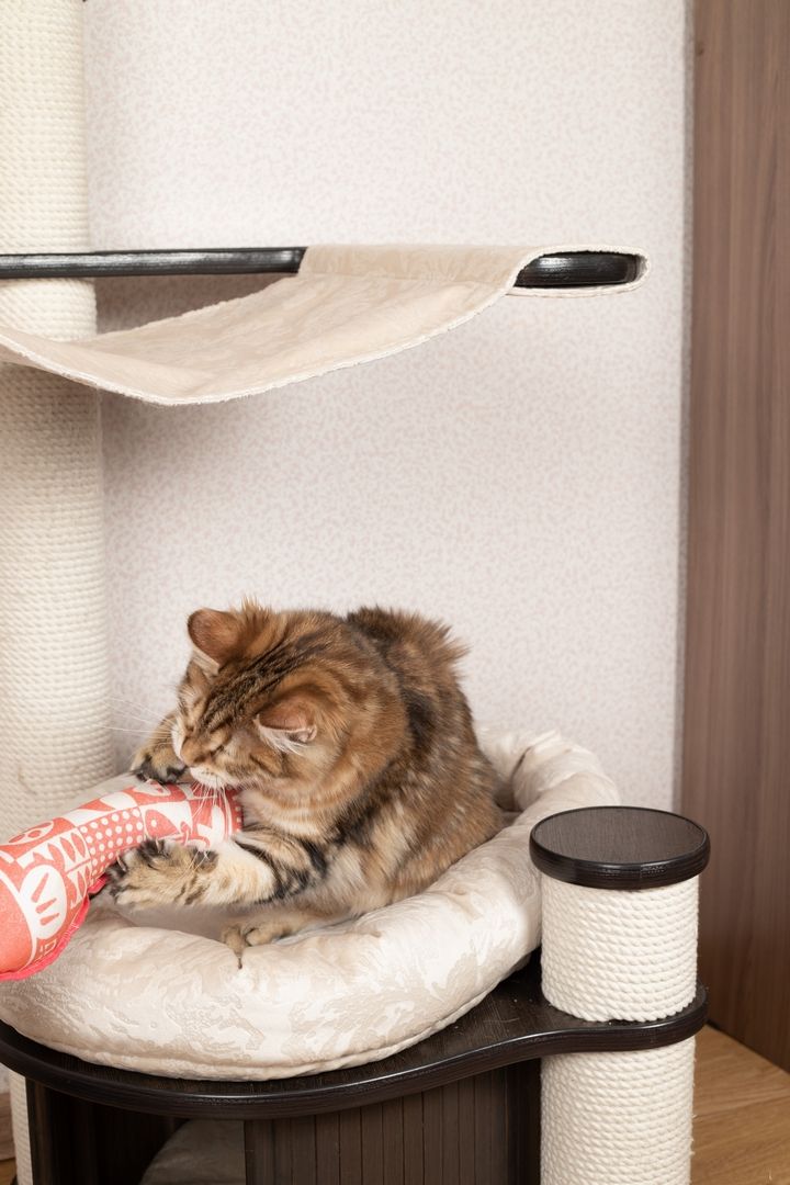 Product CTM0917803 photo 4