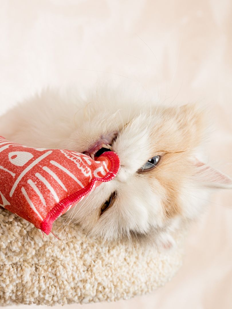 Product CTM0917803 photo 8