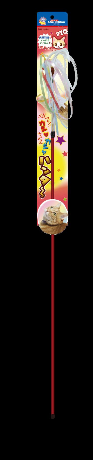 Produkt CTTR439553 Bild 2