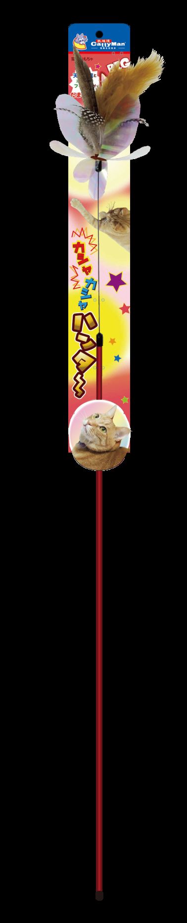 Produkt CTTR439560 Bild 2