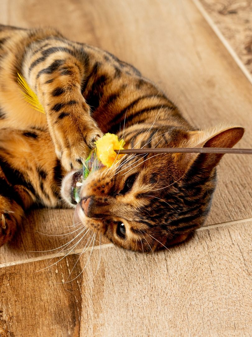 Produkt CTTR665678 Bild 20