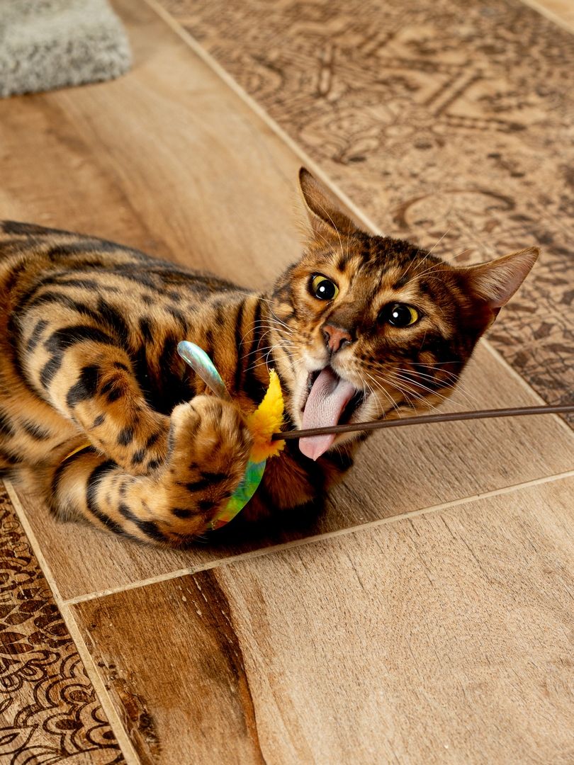 Produkt CTTR665678 Bild 21