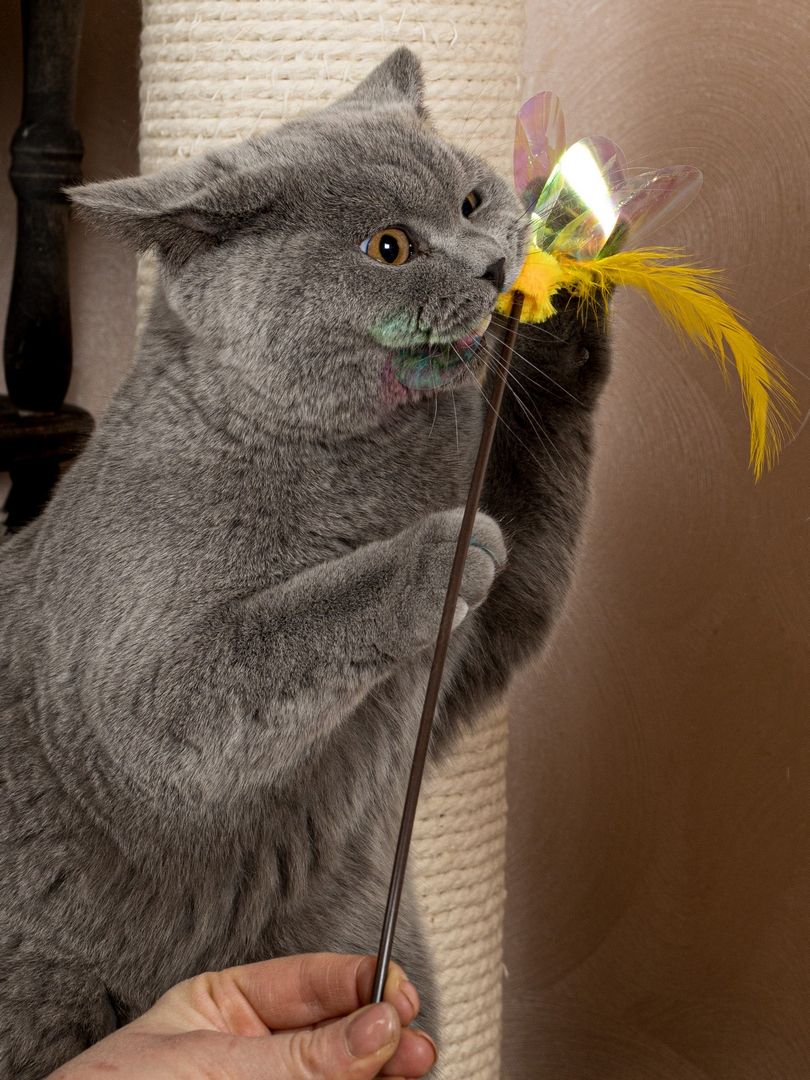 Produkt CTTR665678 Bild 4