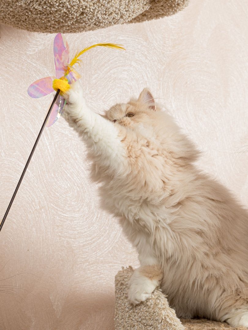 Produkt CTTR665678 Bild 6