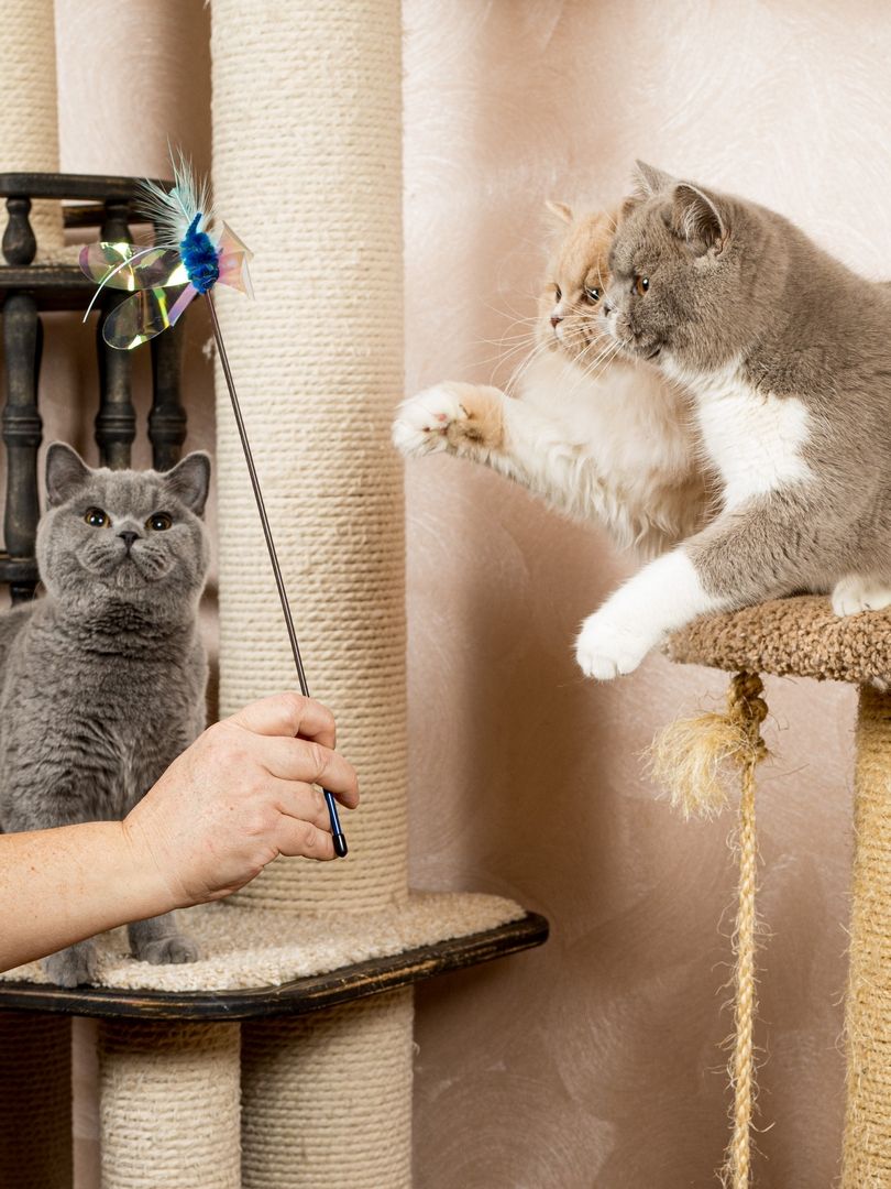 Produkt CTTR665685 Bild 15