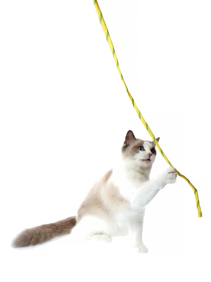 Produkt CTTR666033 Bild 2