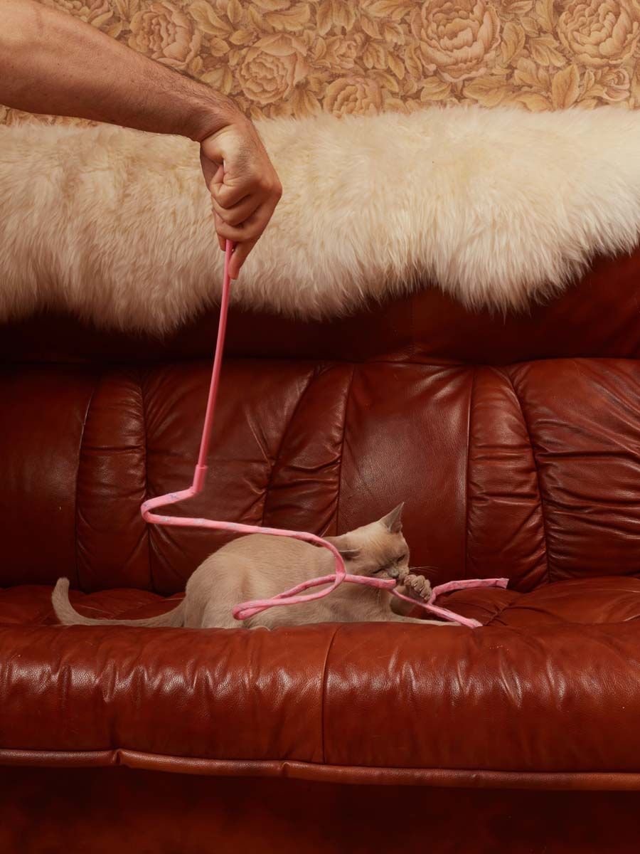 Product CTTR666040 photo 3