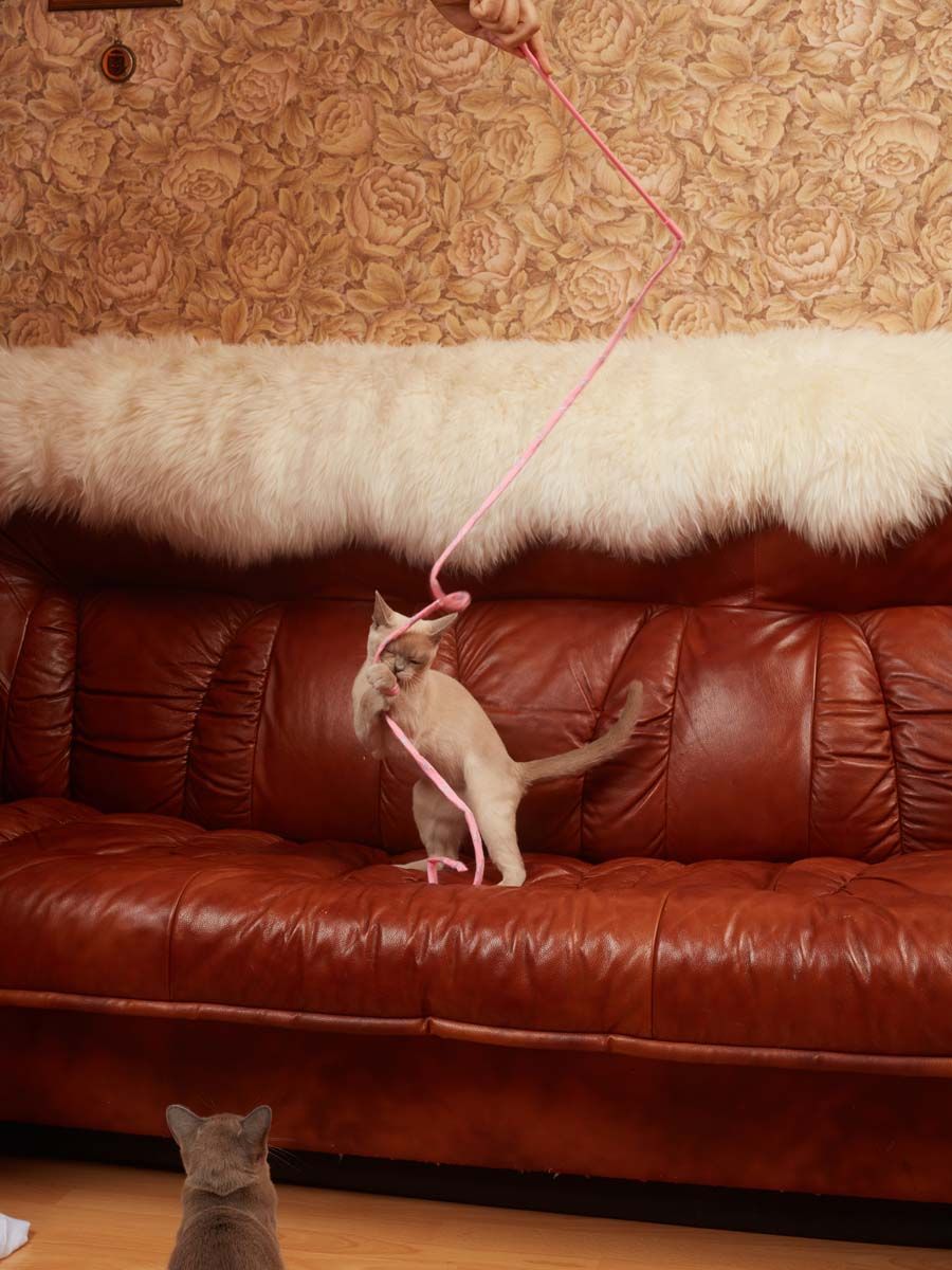 Product CTTR666040 photo 4