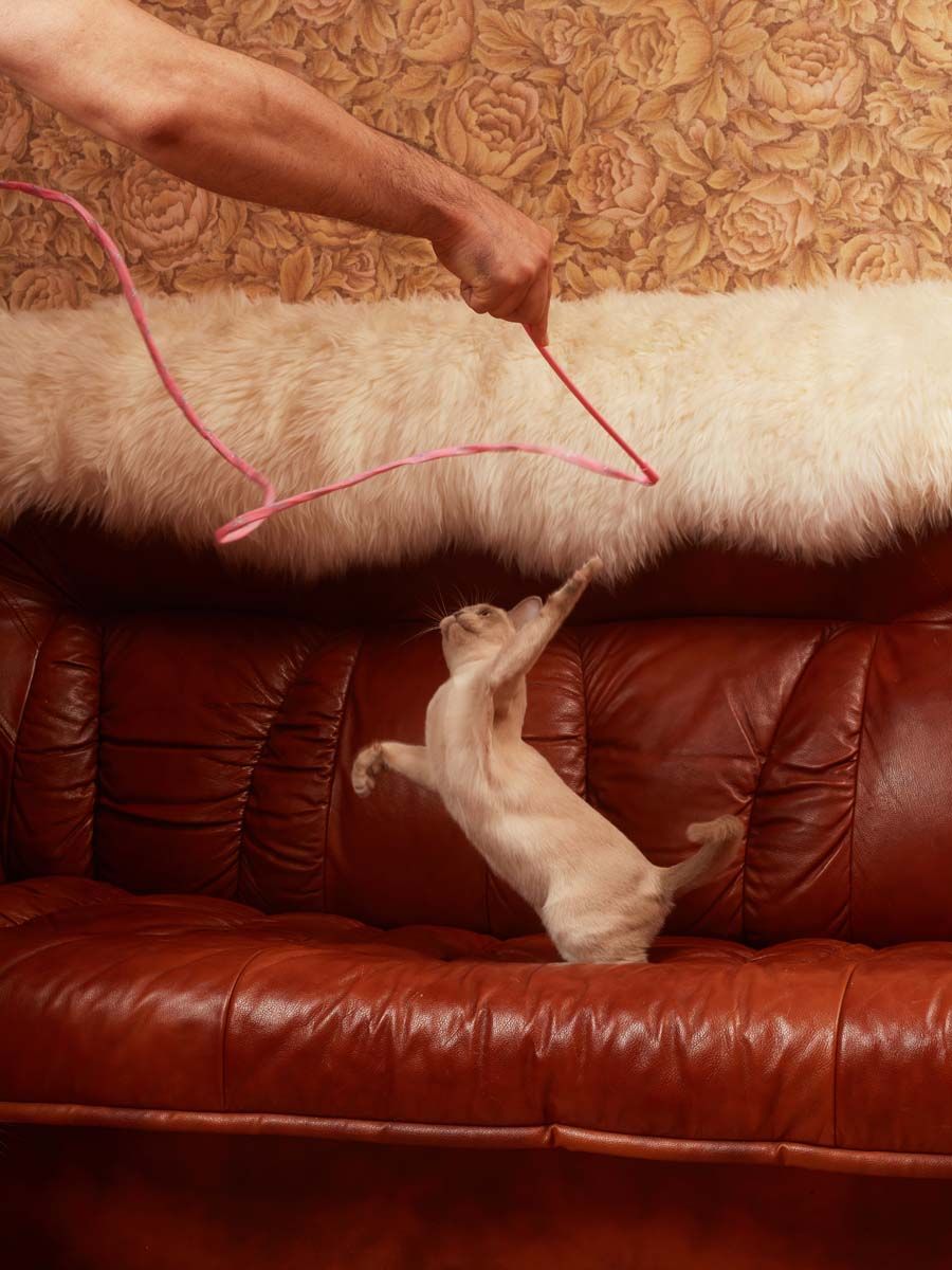 Product CTTR666040 photo 5