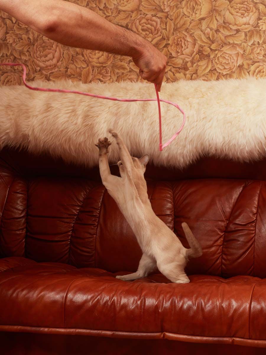 Product CTTR666040 photo 6