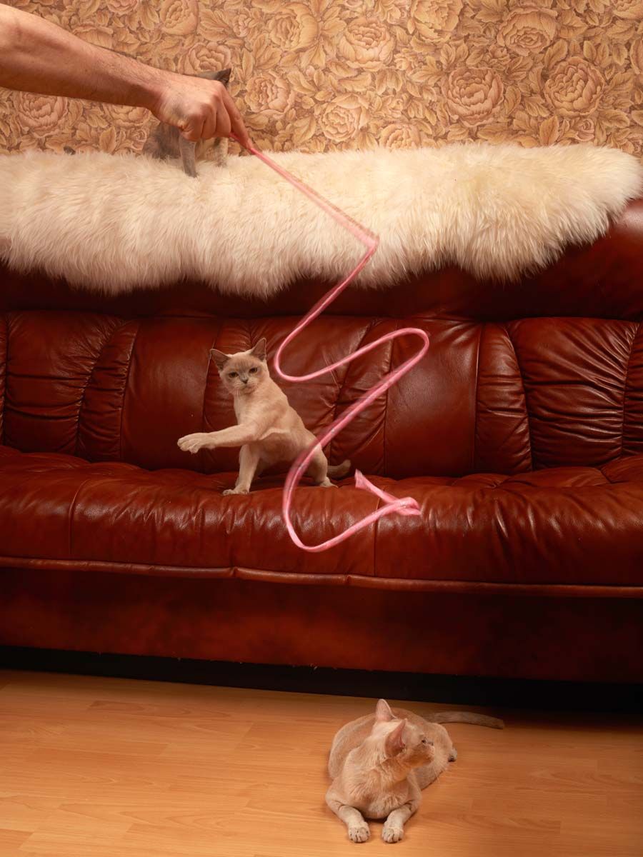 Product CTTR666040 photo 8