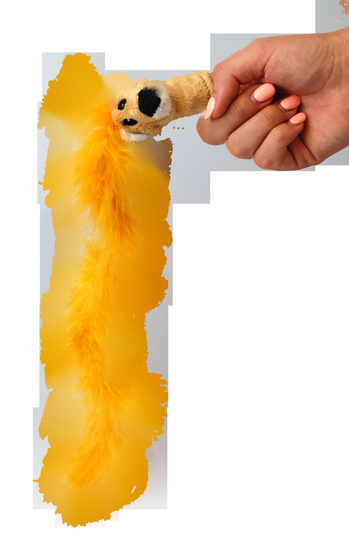 Product CTTR669434 photo 3