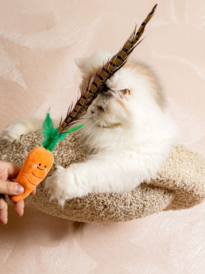 Product CTTR683126 photo 4