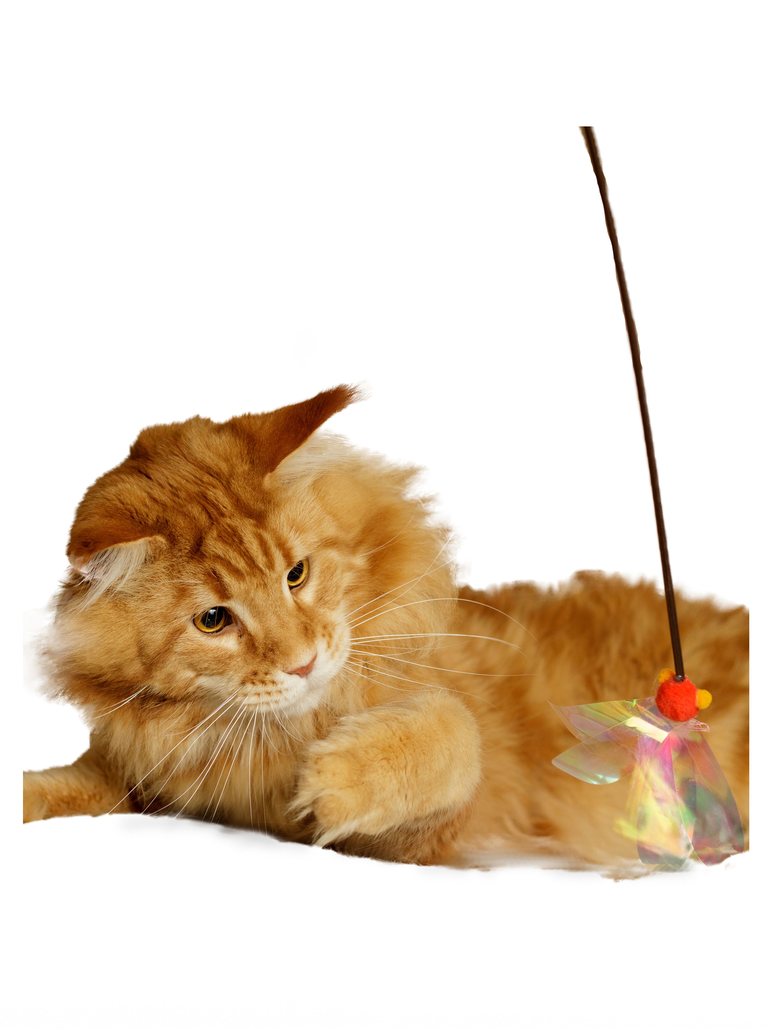 Produkt CTTR7665661 Bild 10