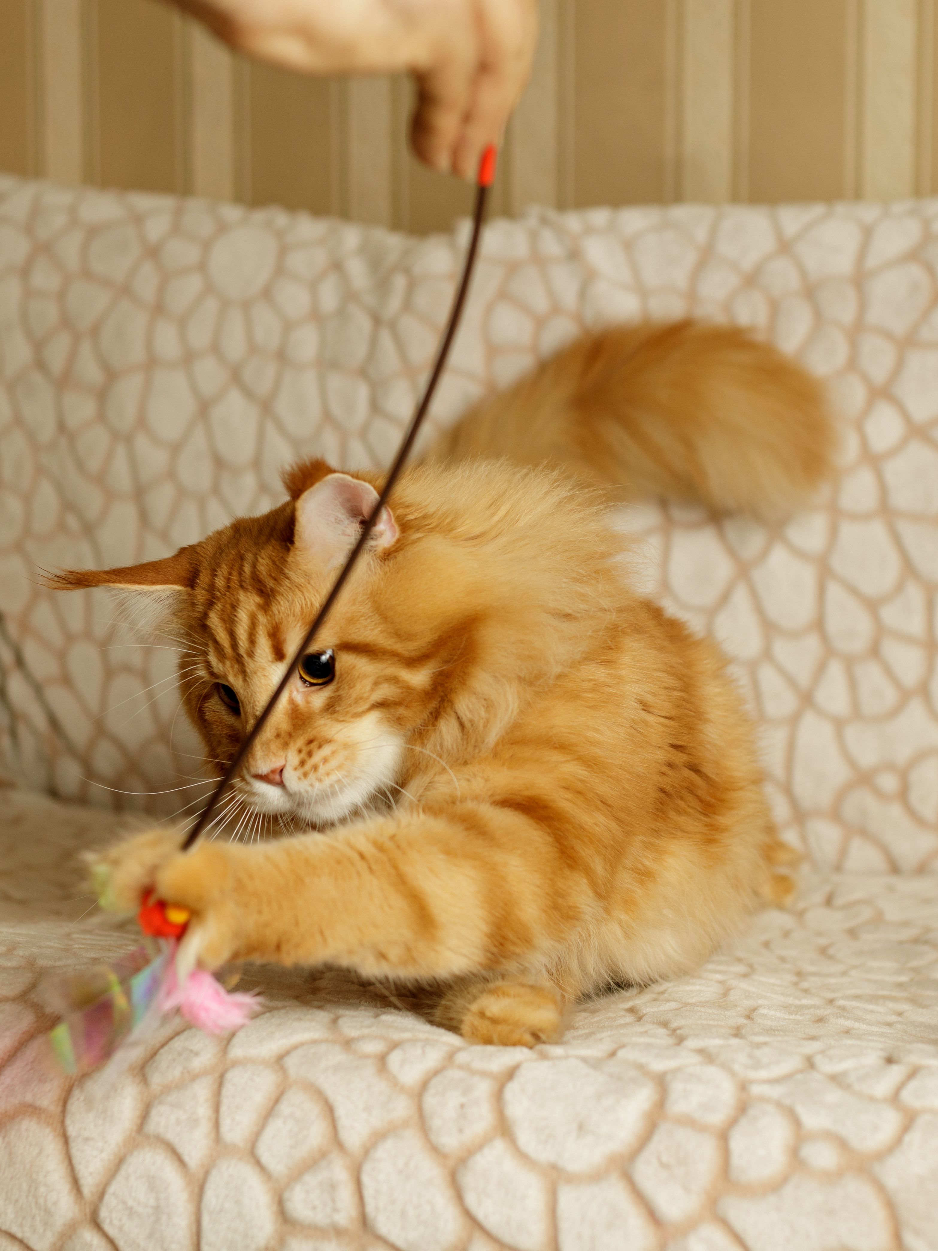 Produkt CTTR7665661 Bild 6