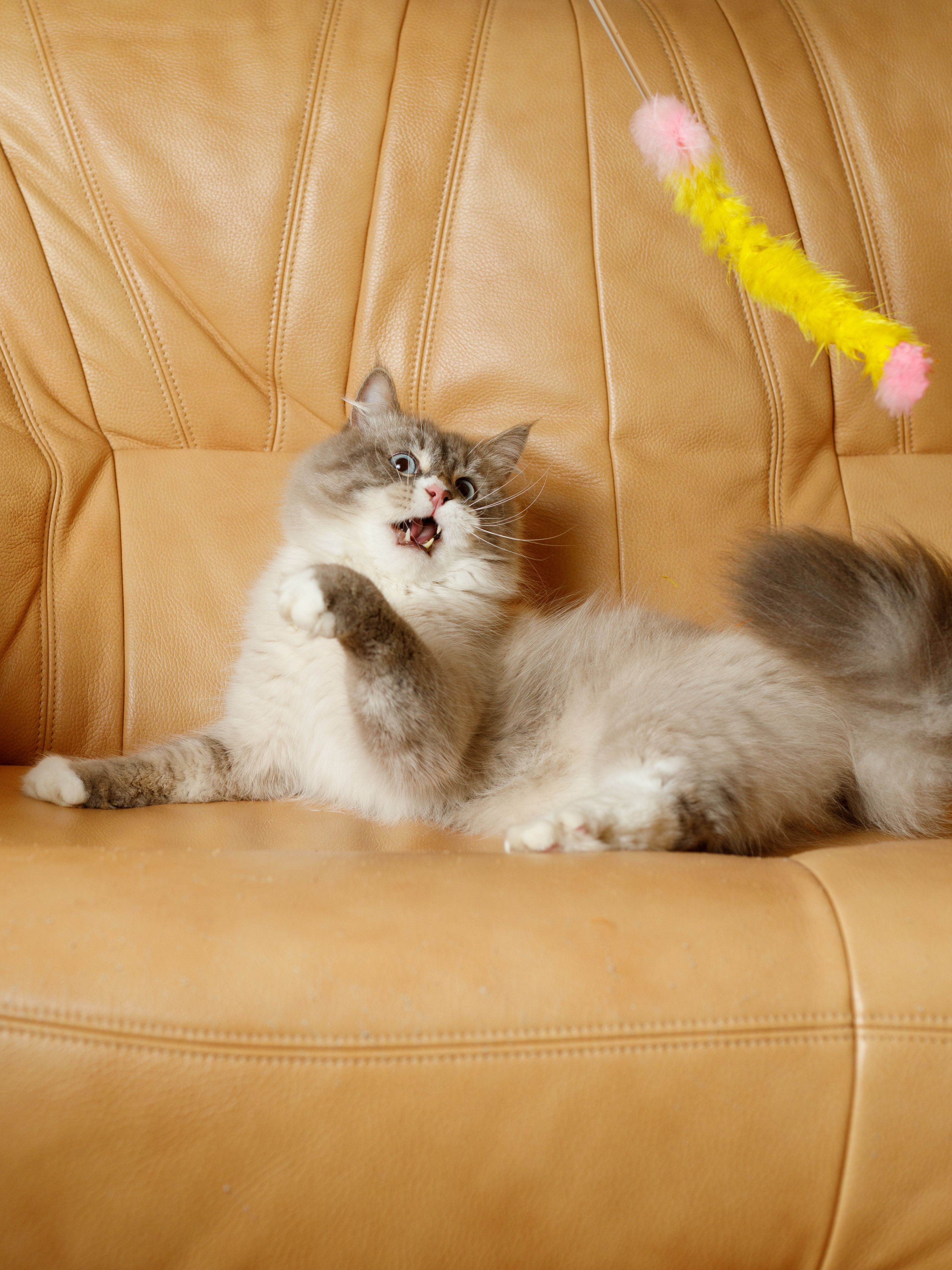 Produkt CTTR843422 Bild 2