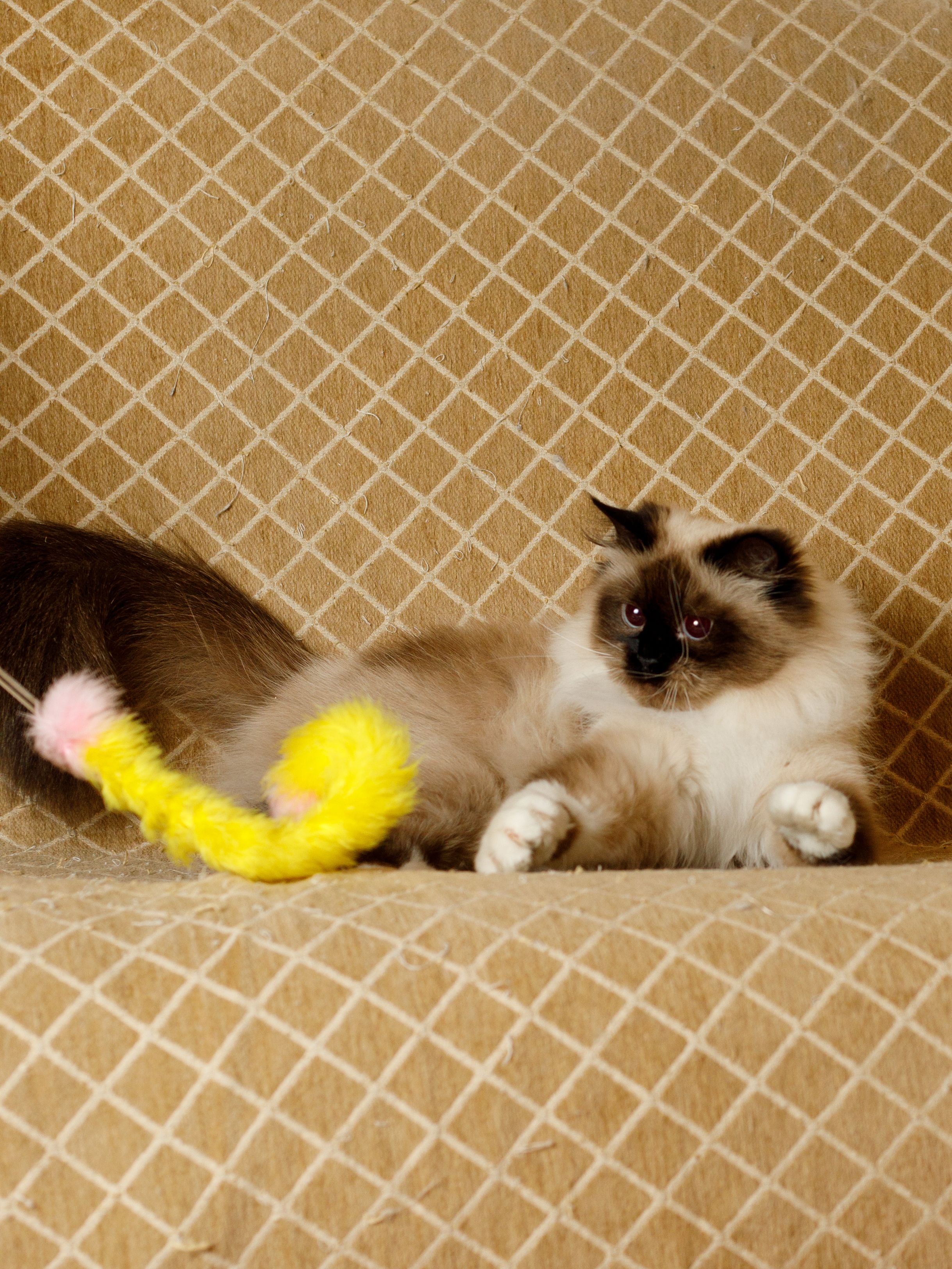 Produkt CTTR843422 Bild 4