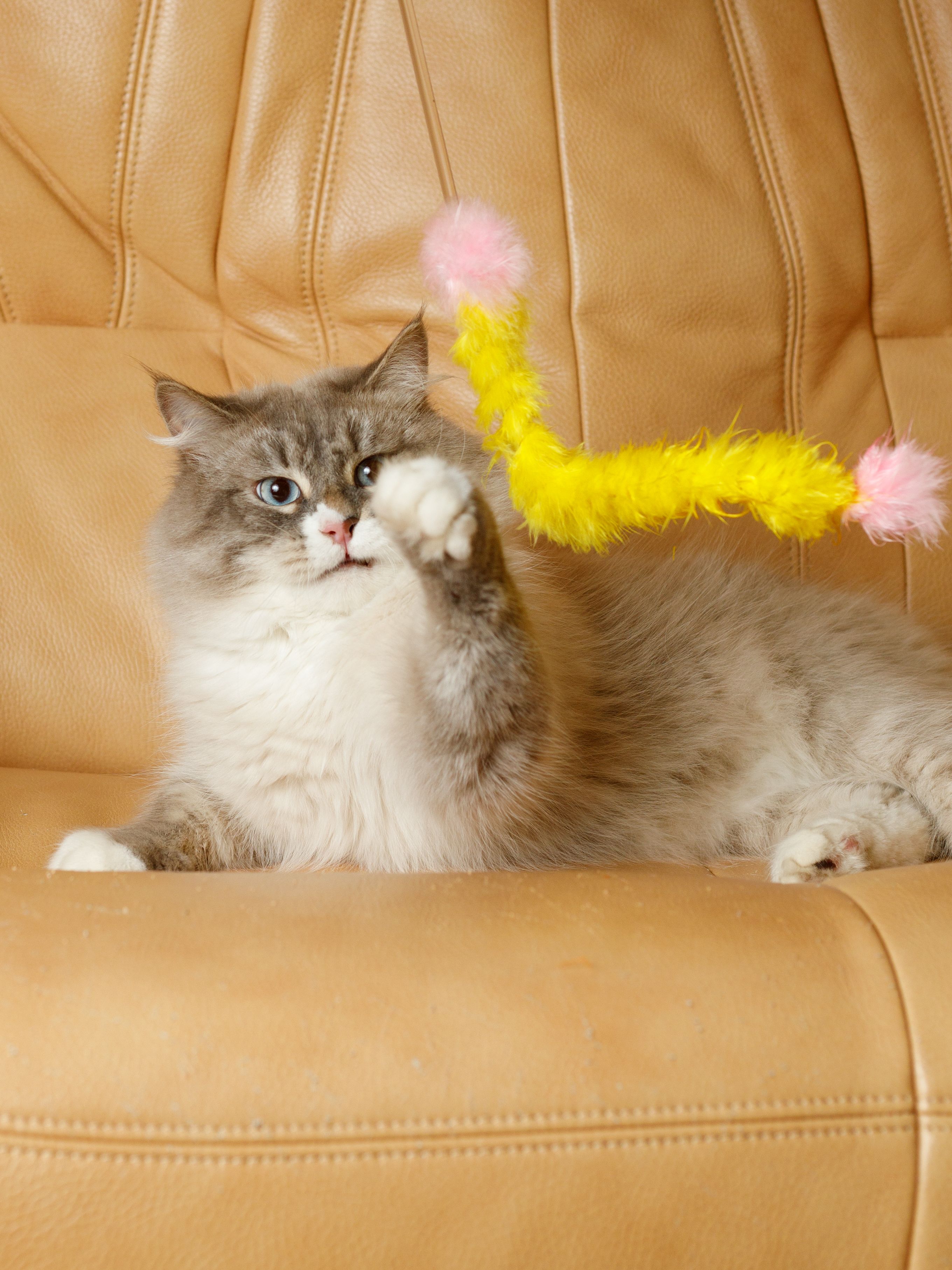 Produkt CTTR843422 Bild 7