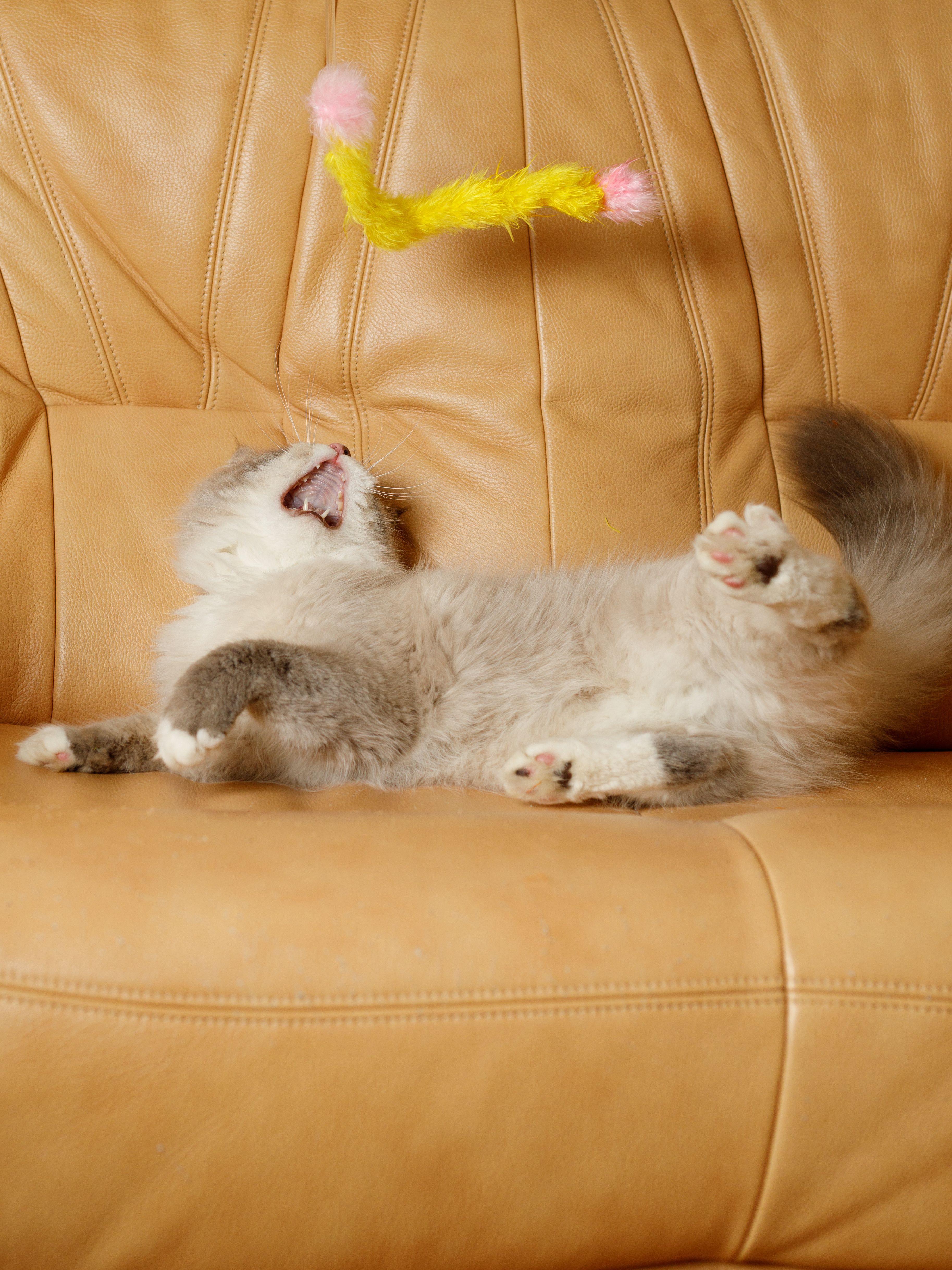 Produkt CTTR843422 Bild 8