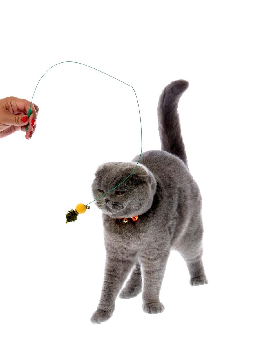 Produkt CTTR843446 Bild 2