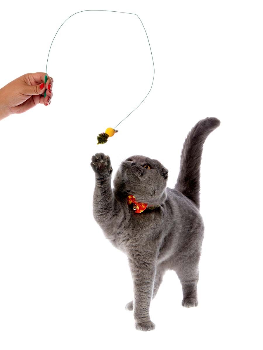 Produkt CTTR843446 Bild 3