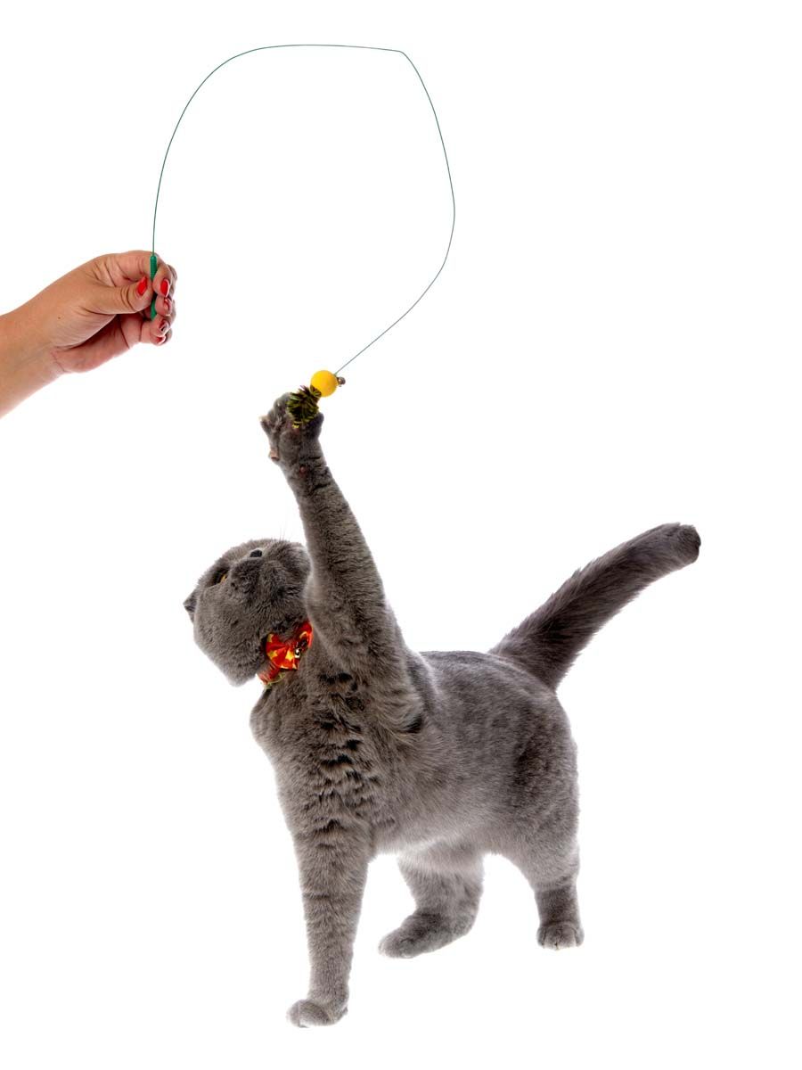 Produkt CTTR843446 Bild 4