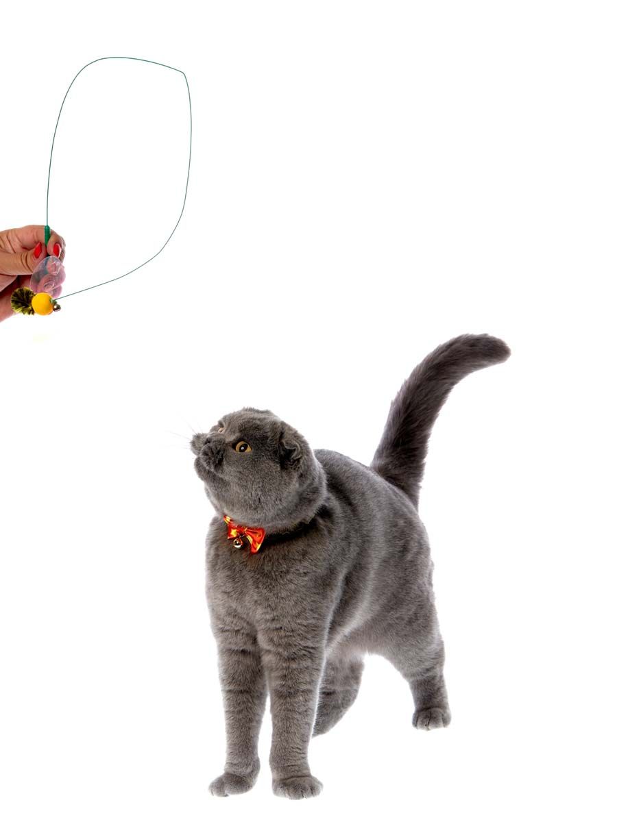 Produkt CTTR843446 Bild 5