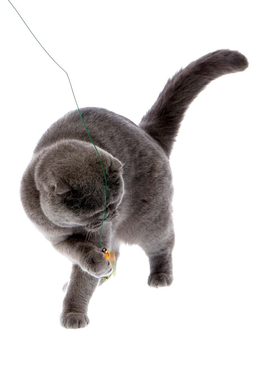 Produkt CTTR843446 Bild 6