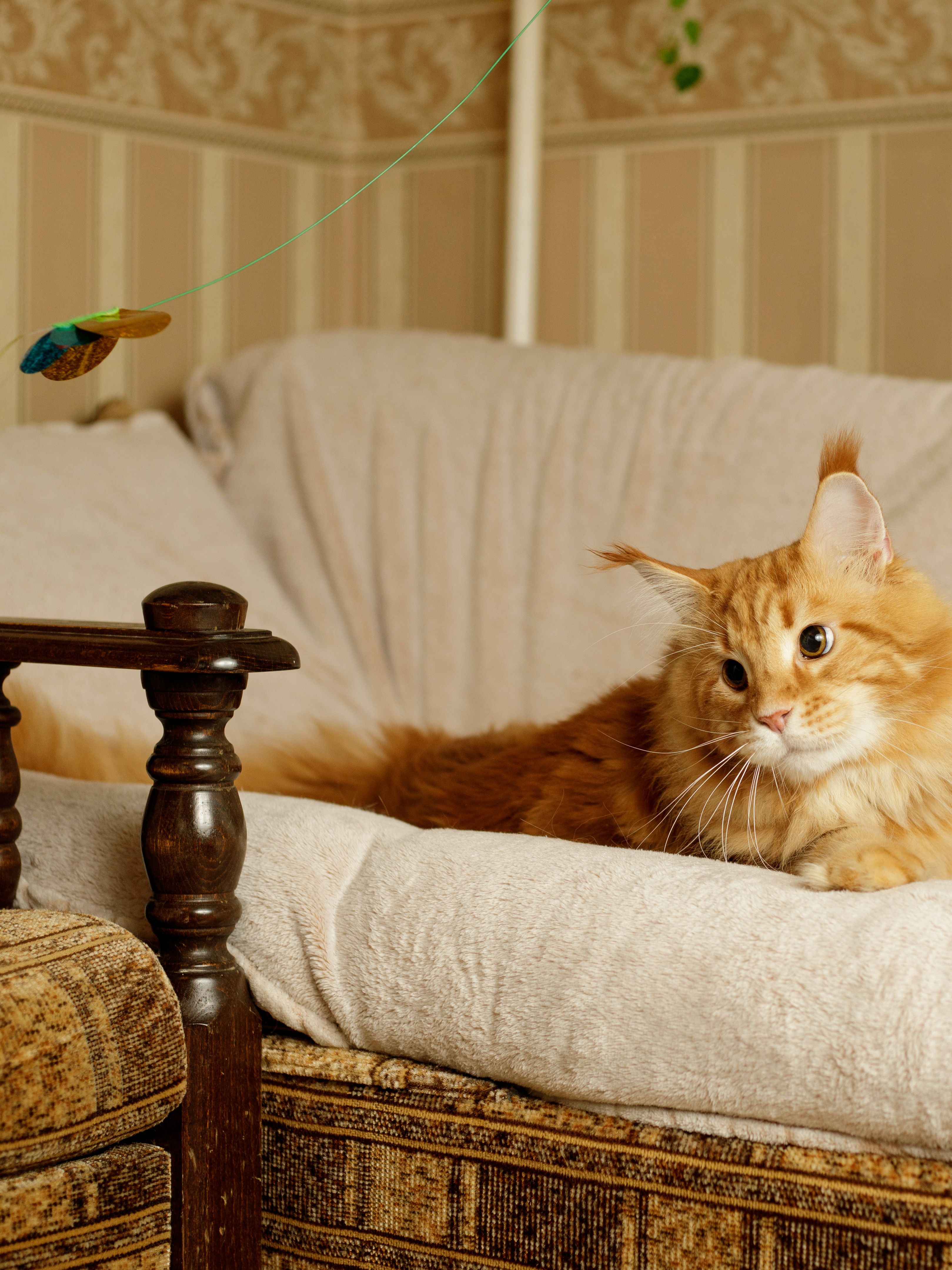 Produkt CTTR843453 Bild 2