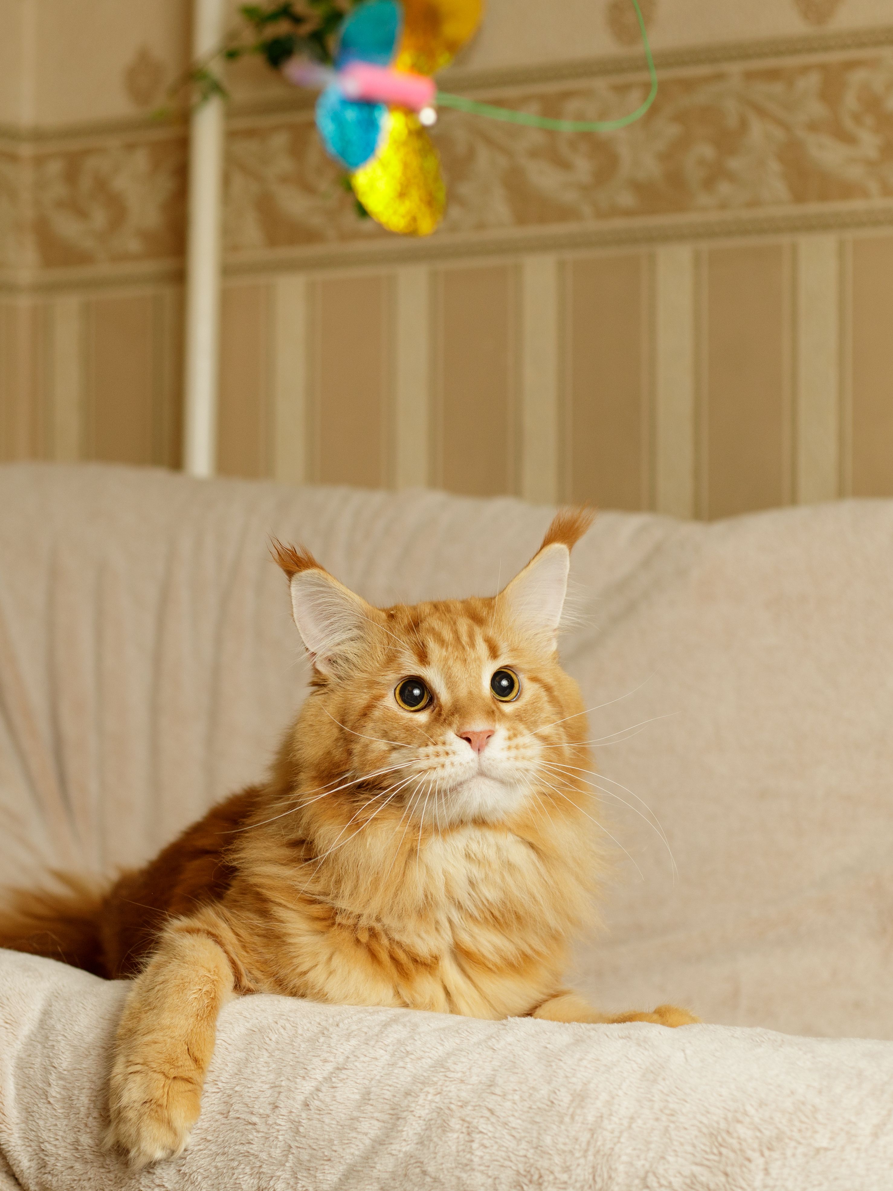 Produkt CTTR843453 Bild 3