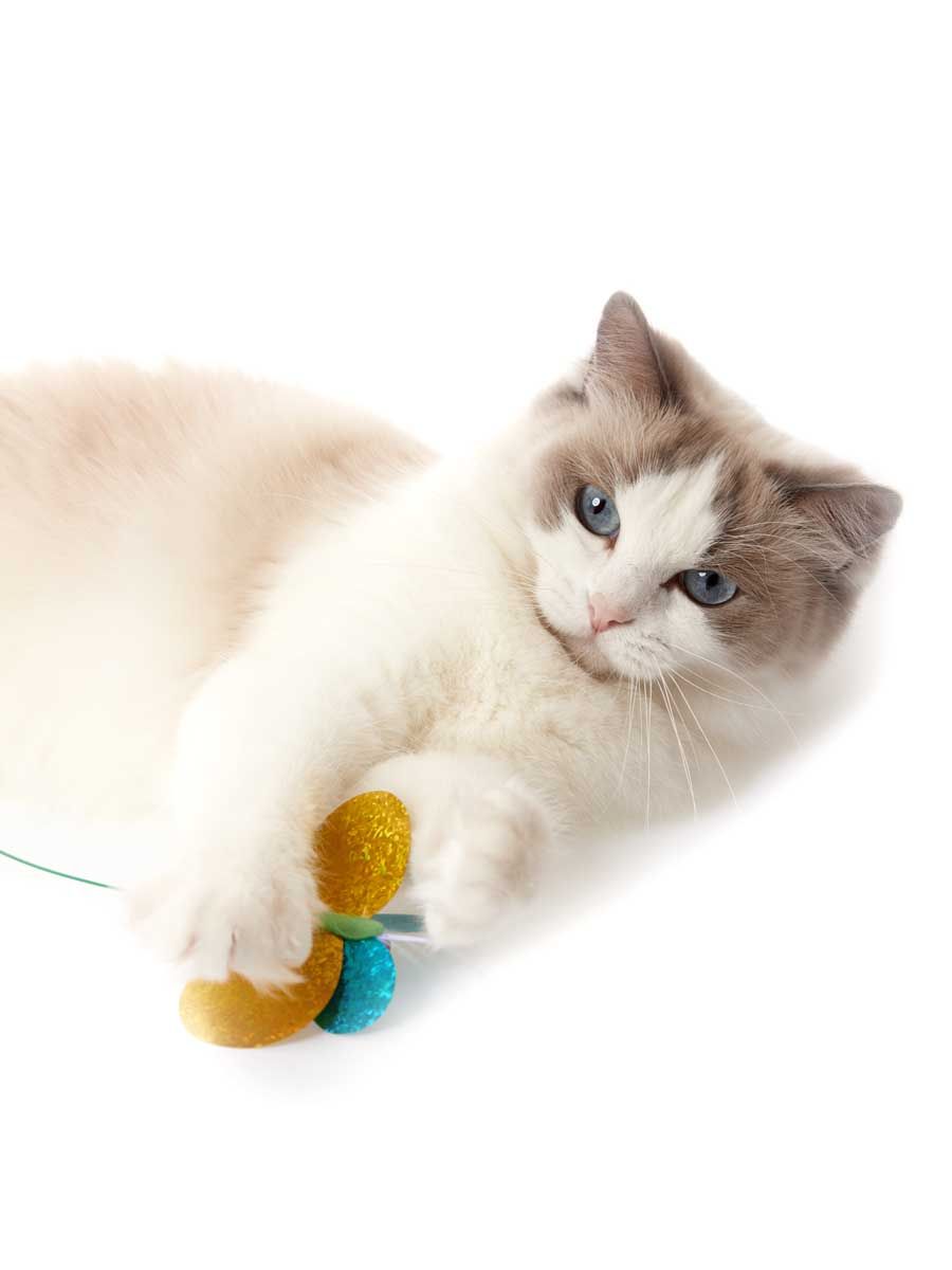 Produkt CTTR843453 Bild 7