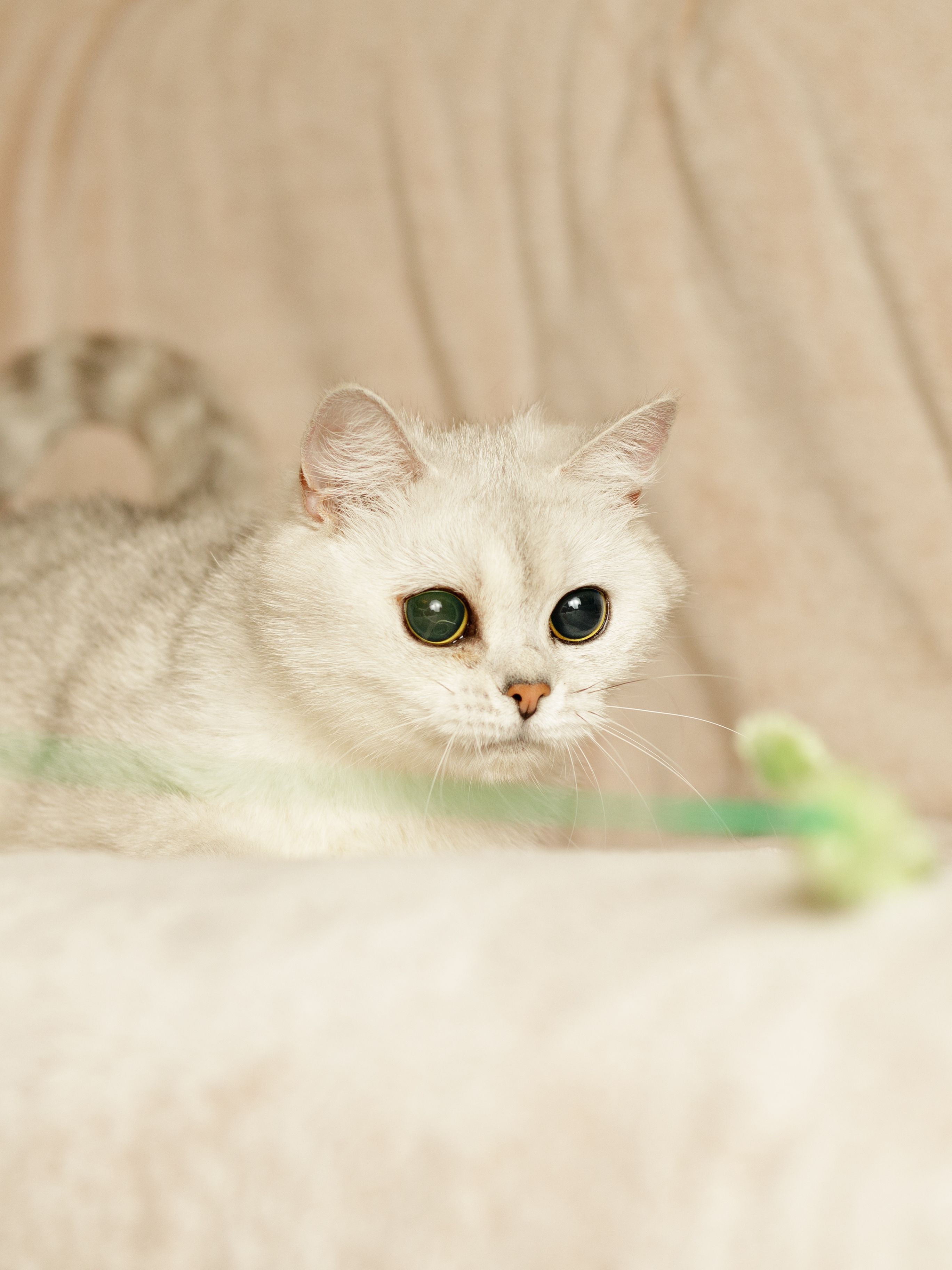 Produkt CTTR844085 Bild 2