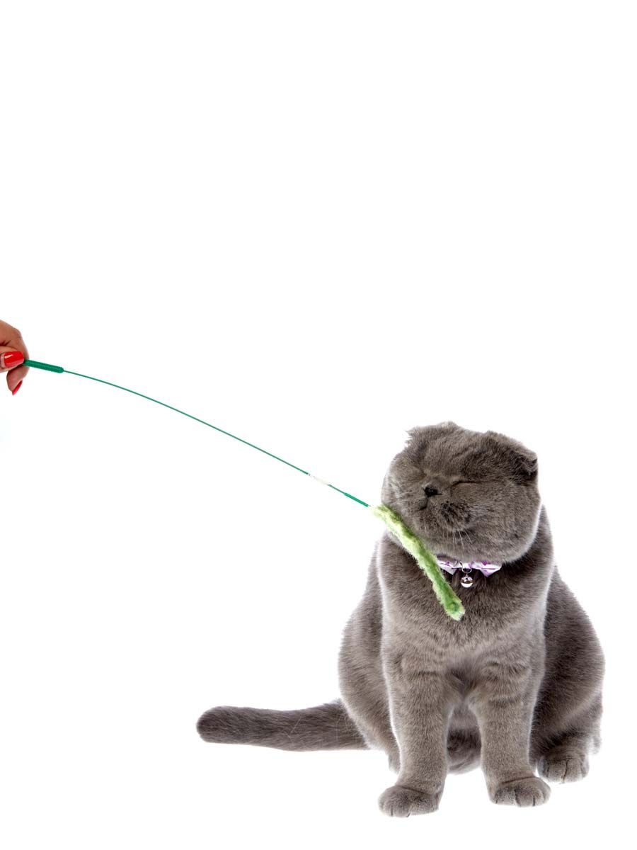 Produkt CTTR844085 Bild 8