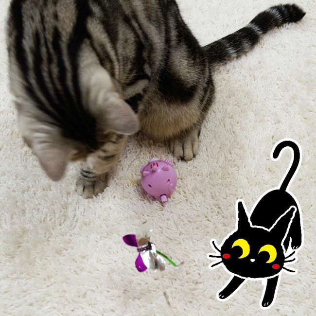 Produkt CTTR844733 Bild 3