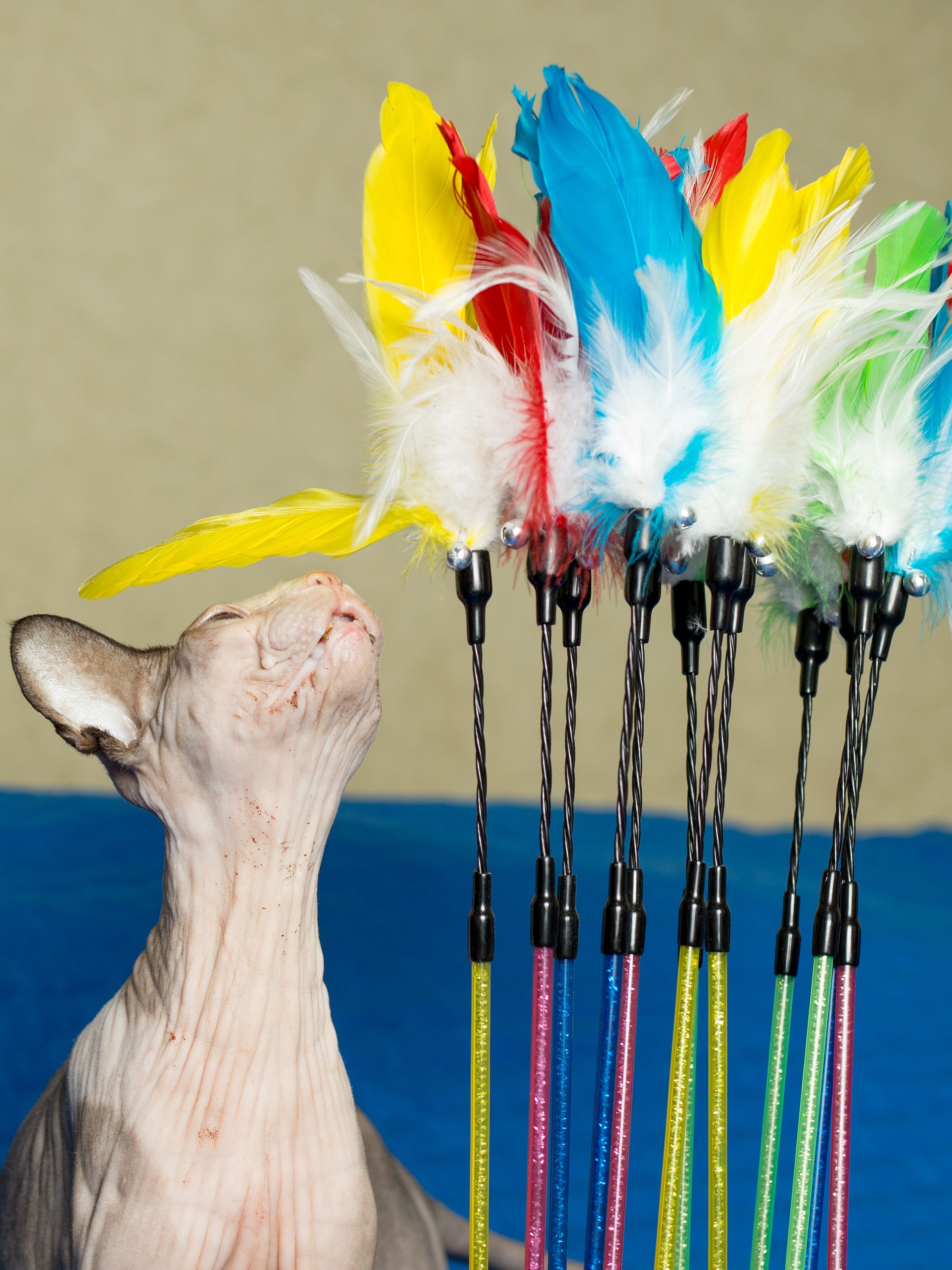 Product CTTR844788 photo 11