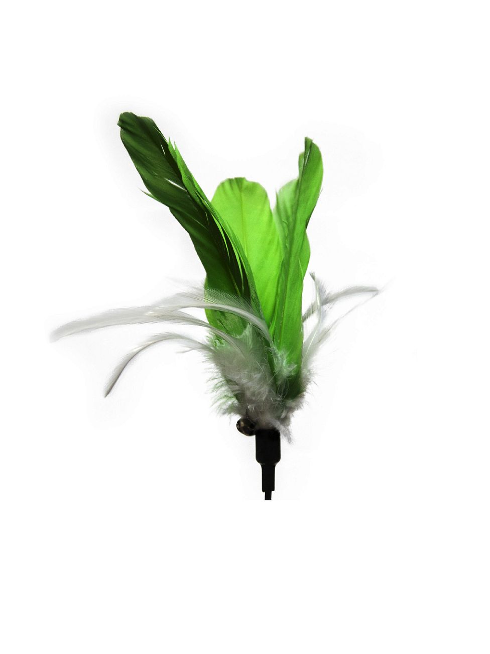 Product CTTR844788 photo 14