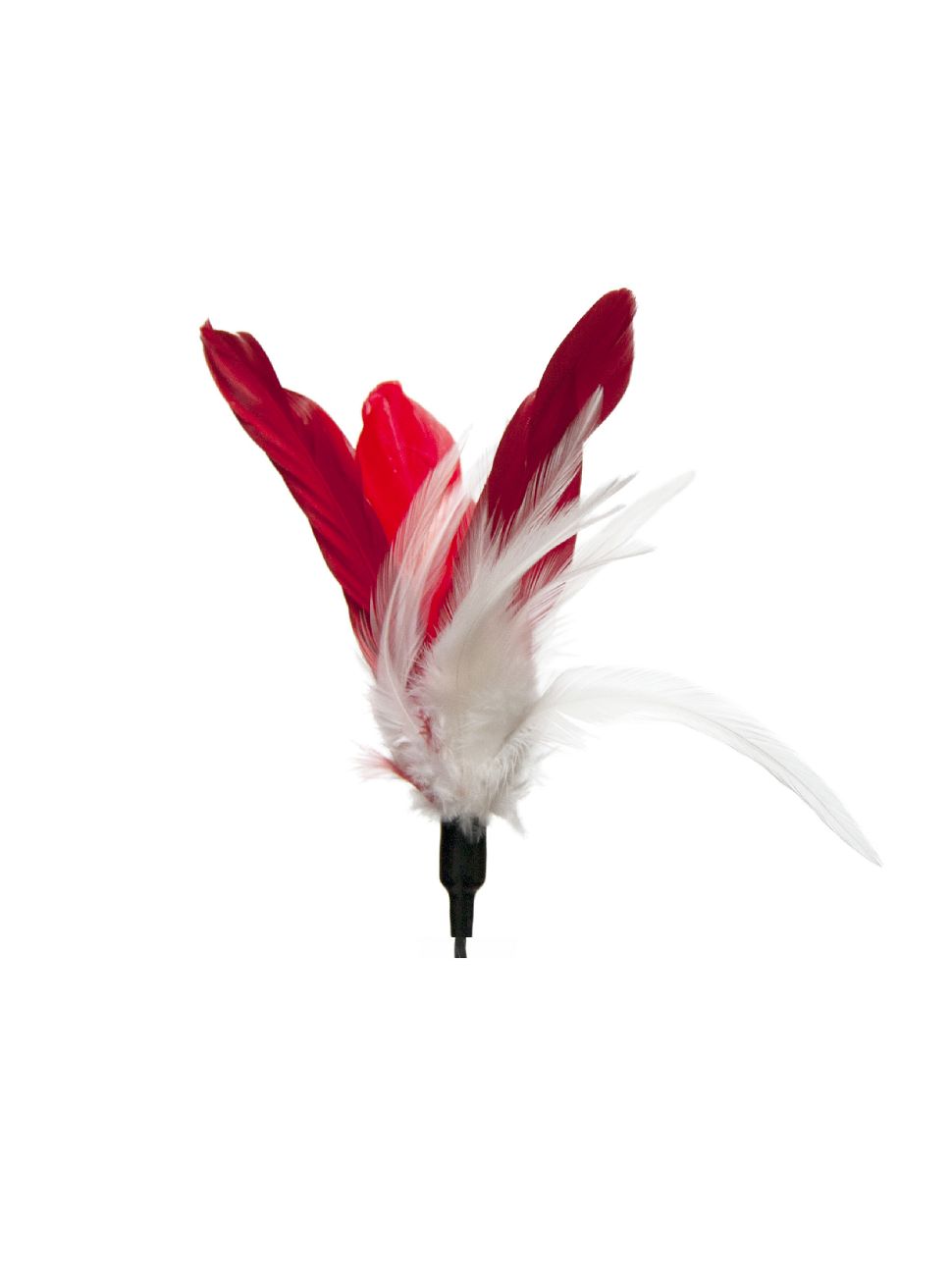 Product CTTR844788 photo 16