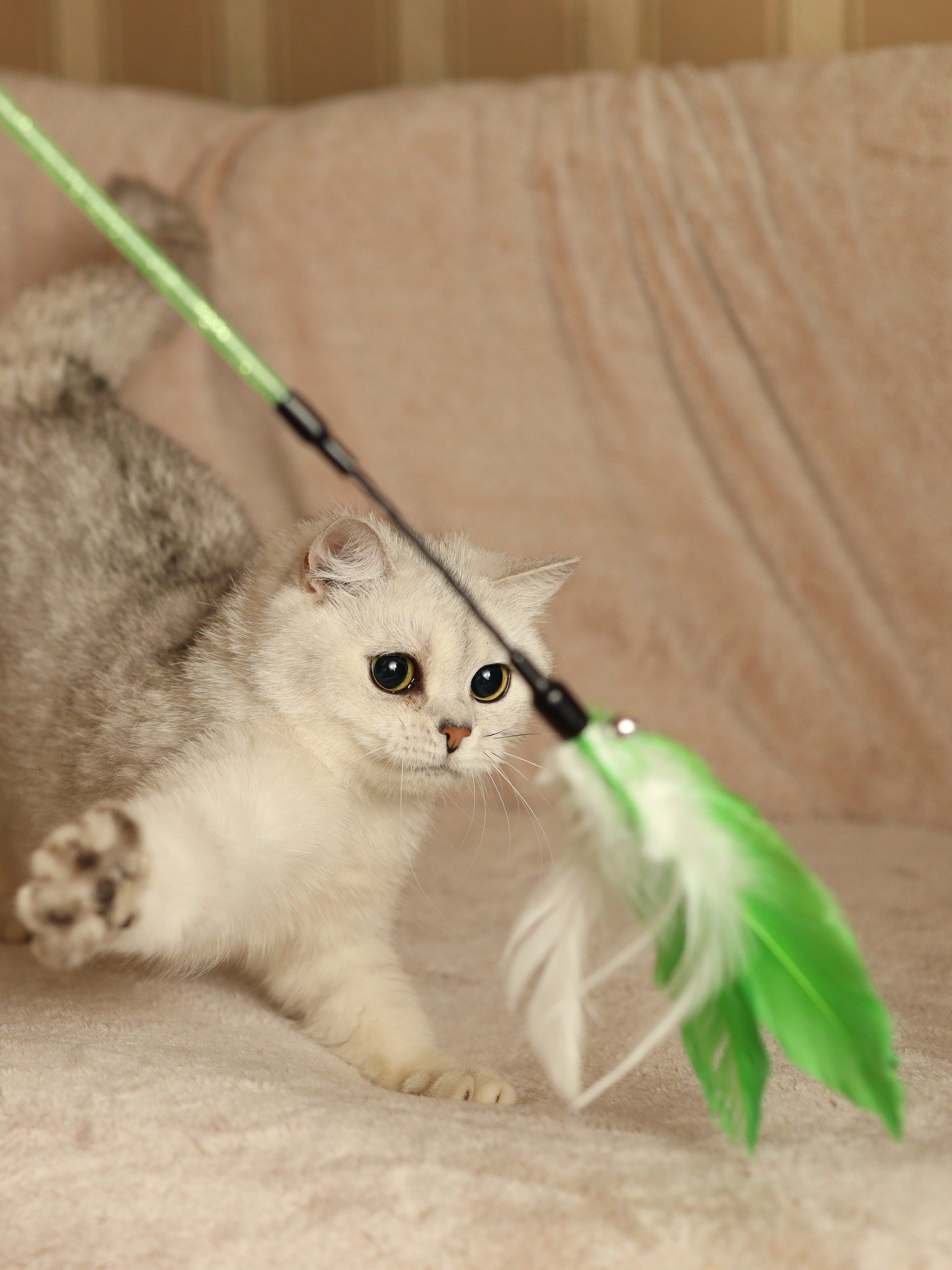 Product CTTR844788 photo 3