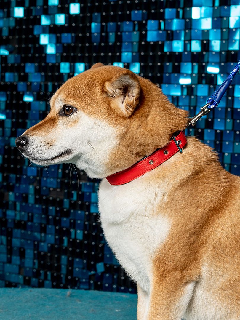 Product DAC0613727 photo 3