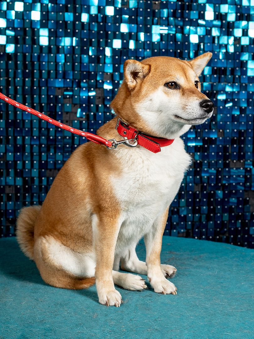 Product DAC0613727 photo 4