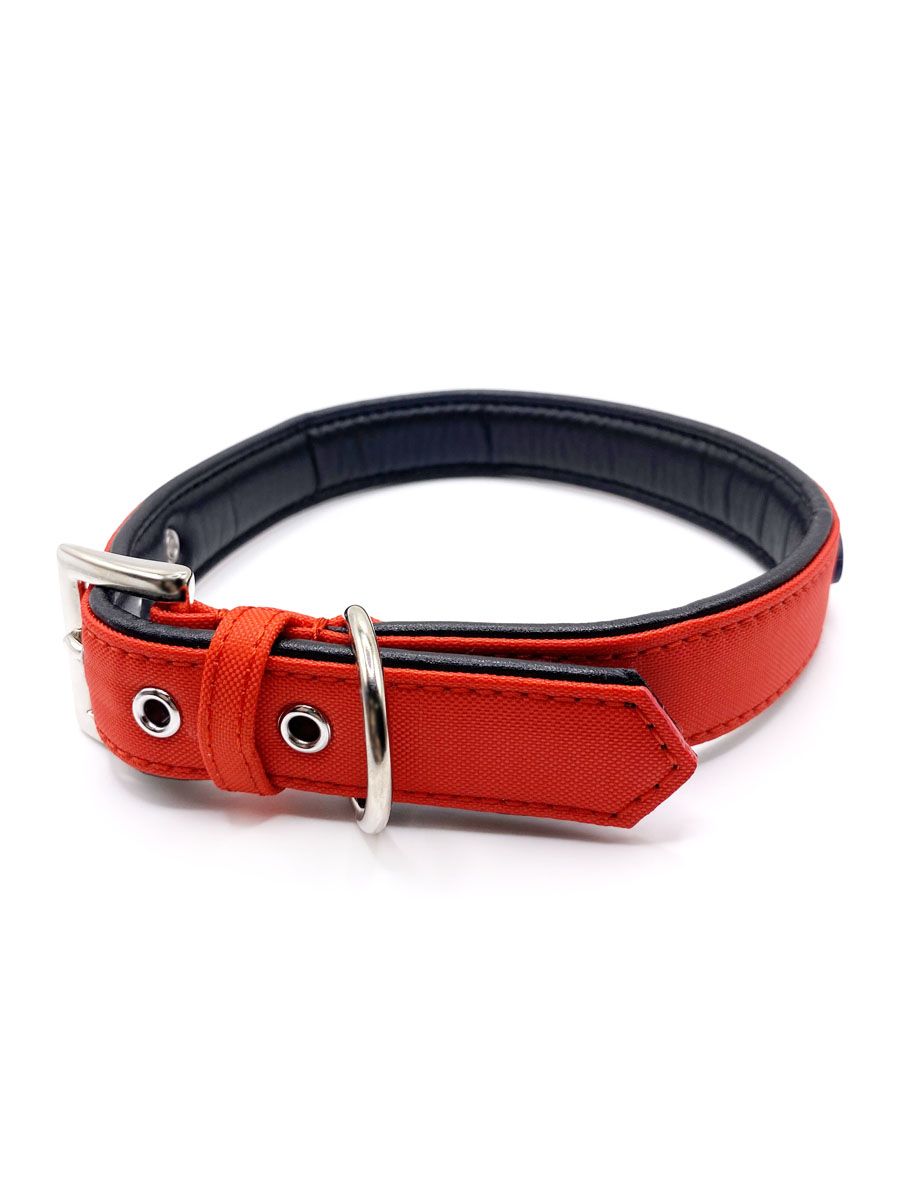 Product DAC0613727 photo 7