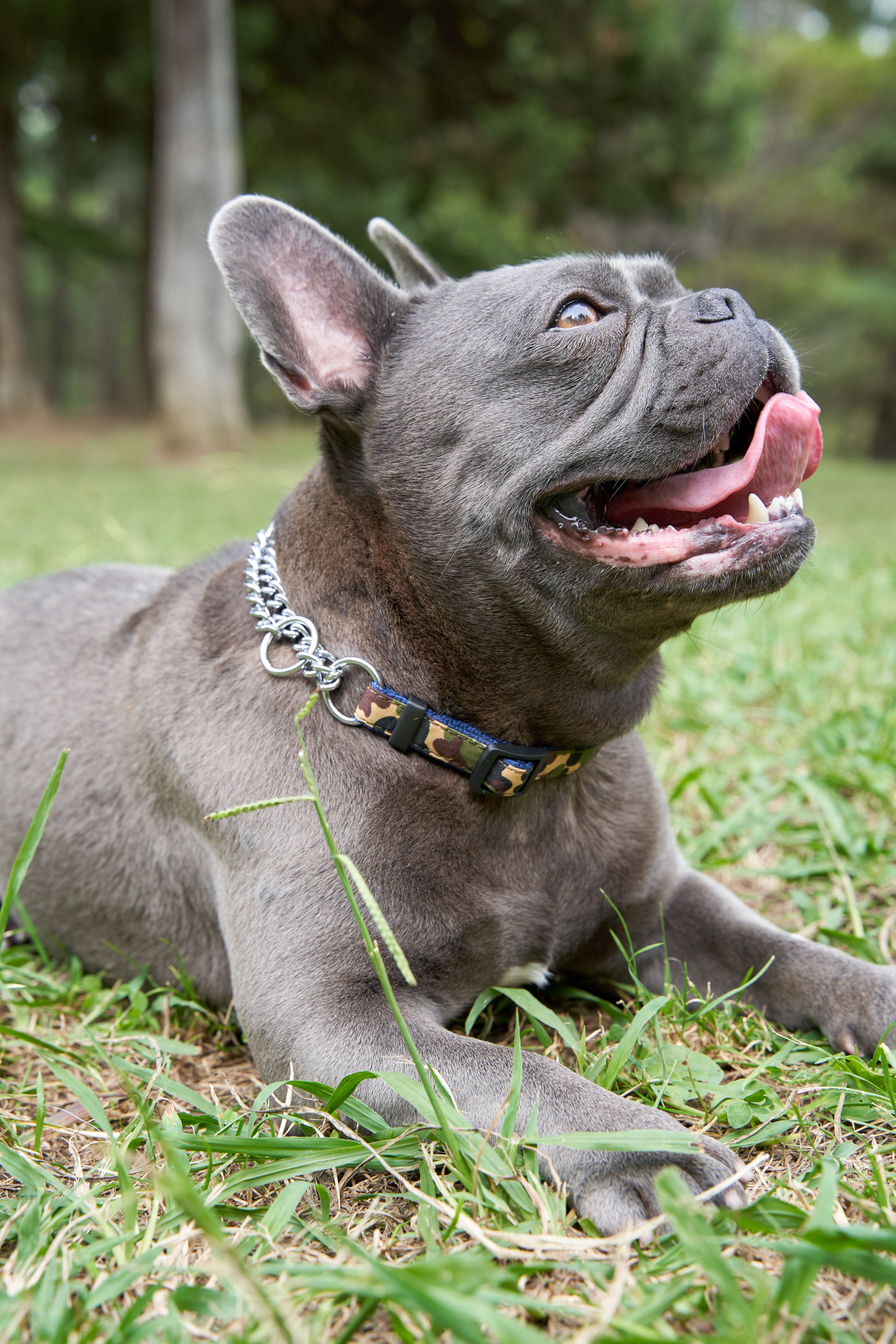 Produkt DAC0668529 Bild 2