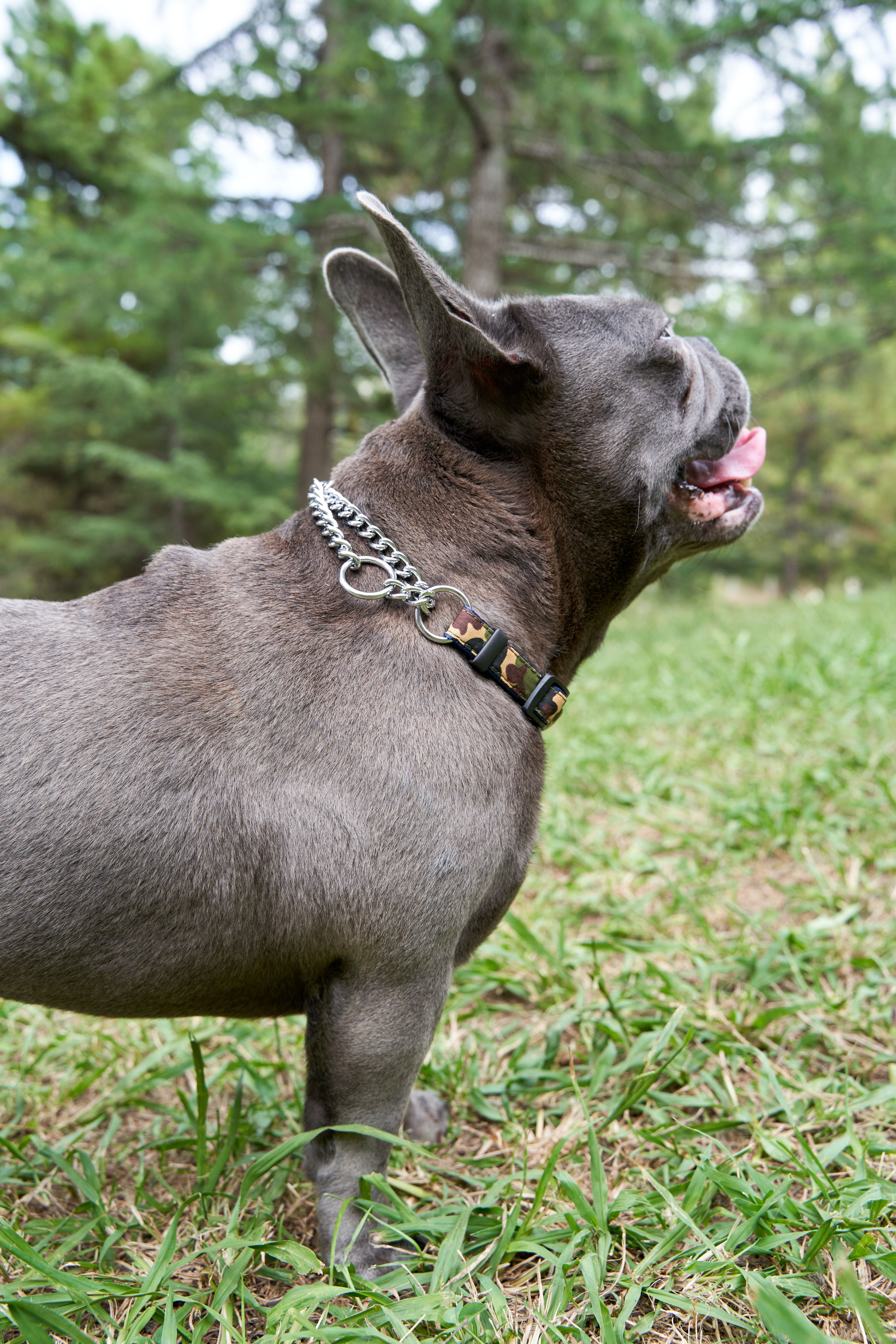 Produkt DAC0668529 Bild 3