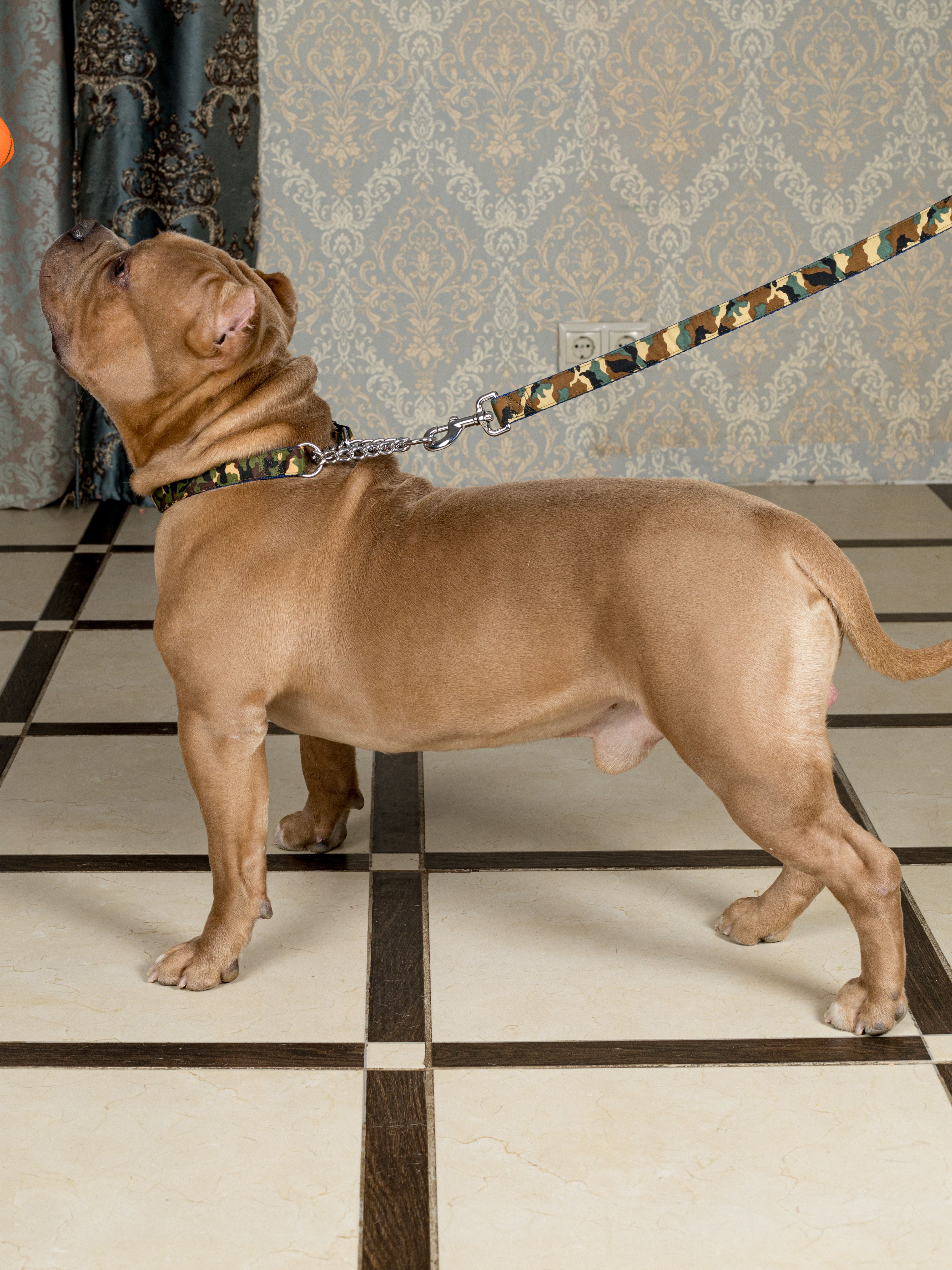 Produkt DAC0668529 Bild 4