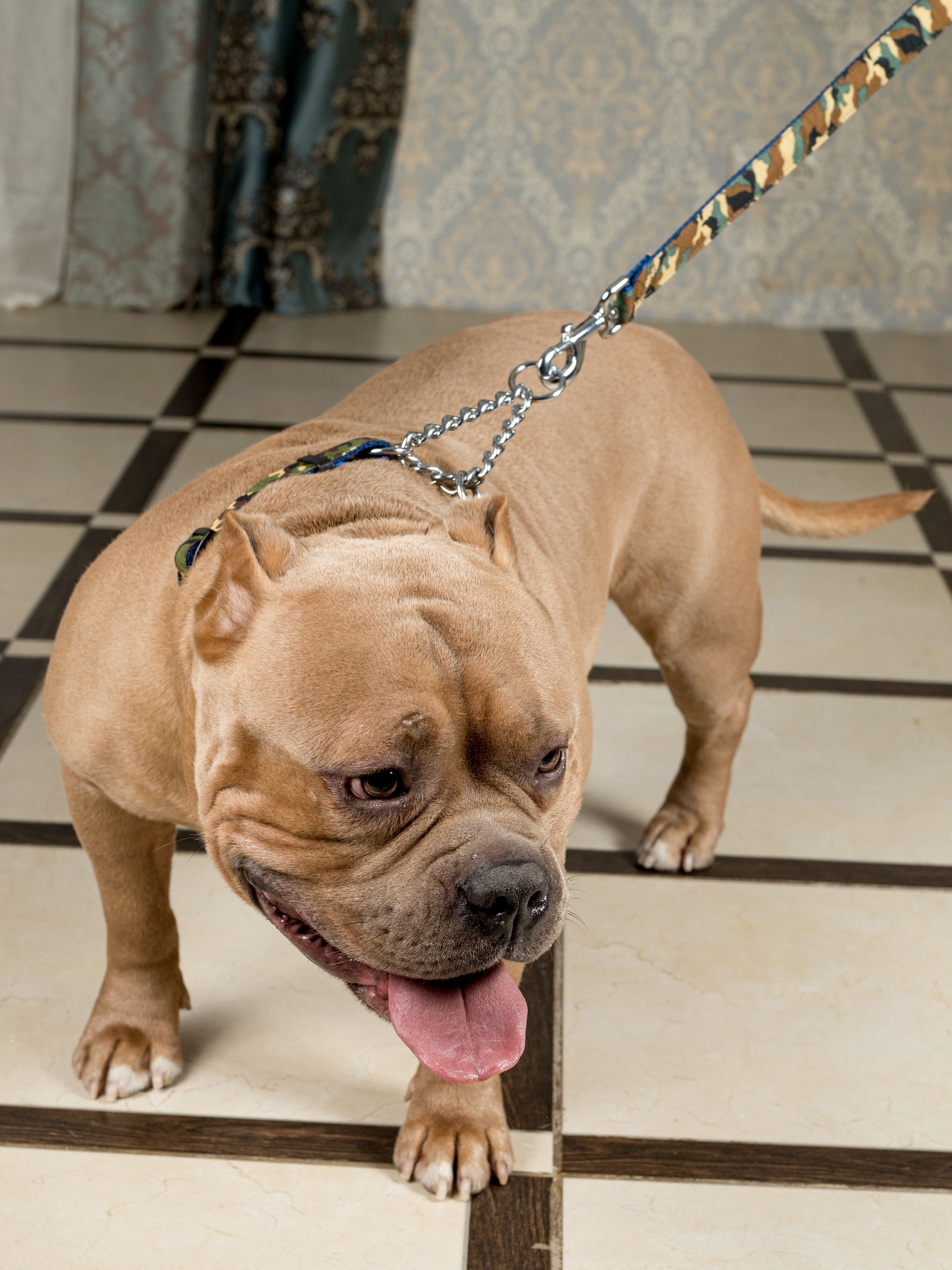 Produkt DAC0668529 Bild 5