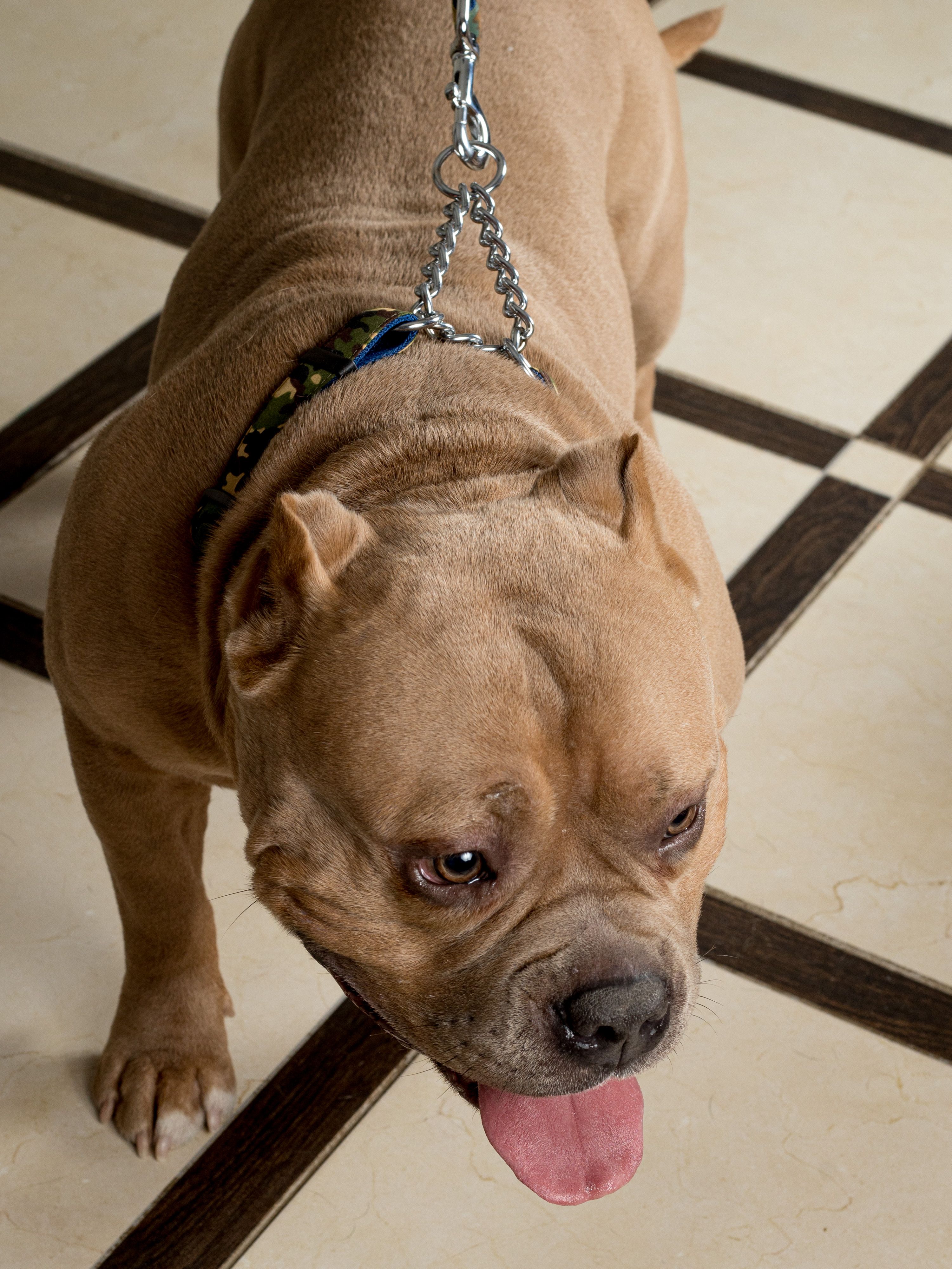 Produkt DAC0668529 Bild 6