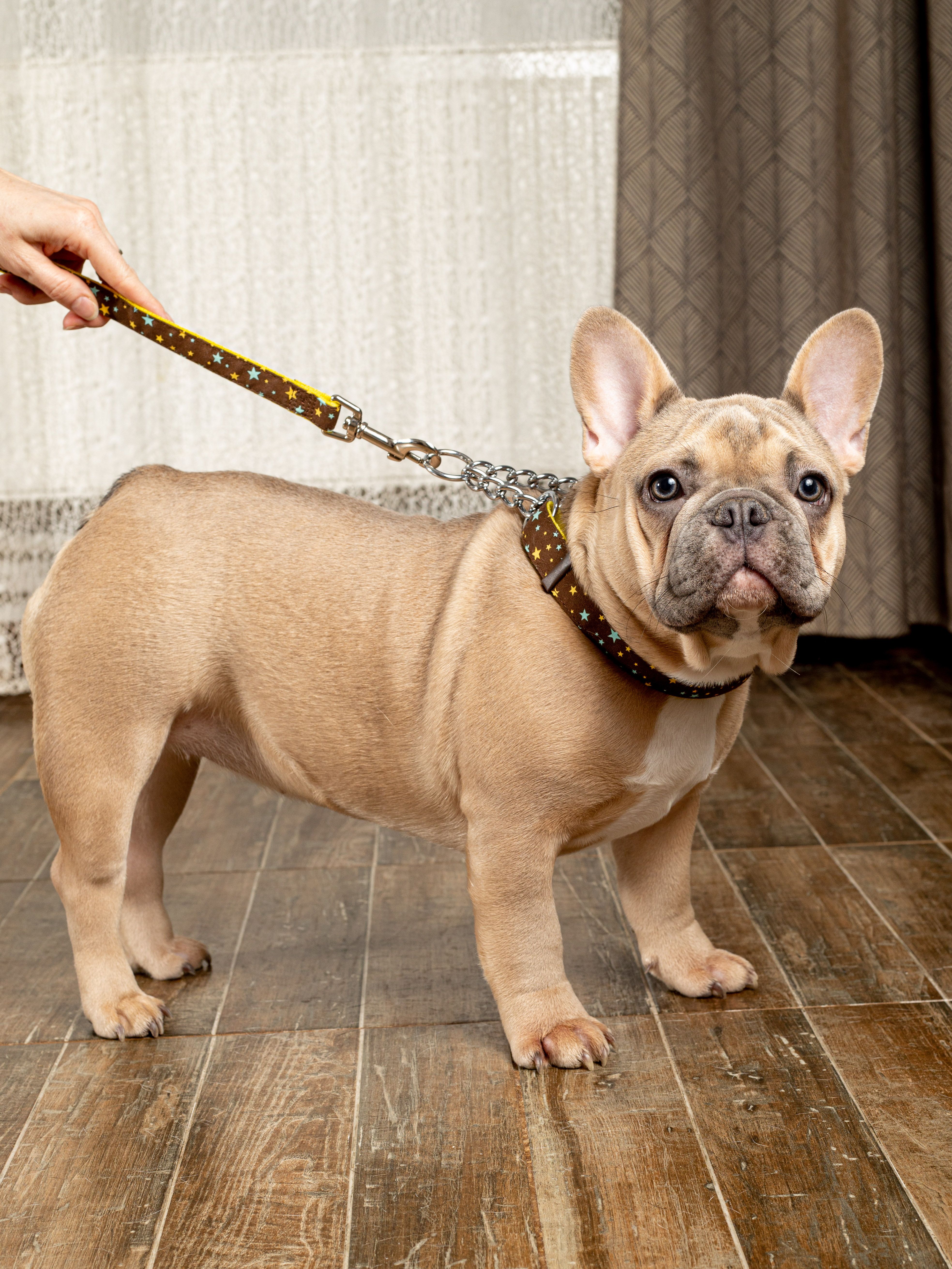 Produkt DAC0668550 Bild 2