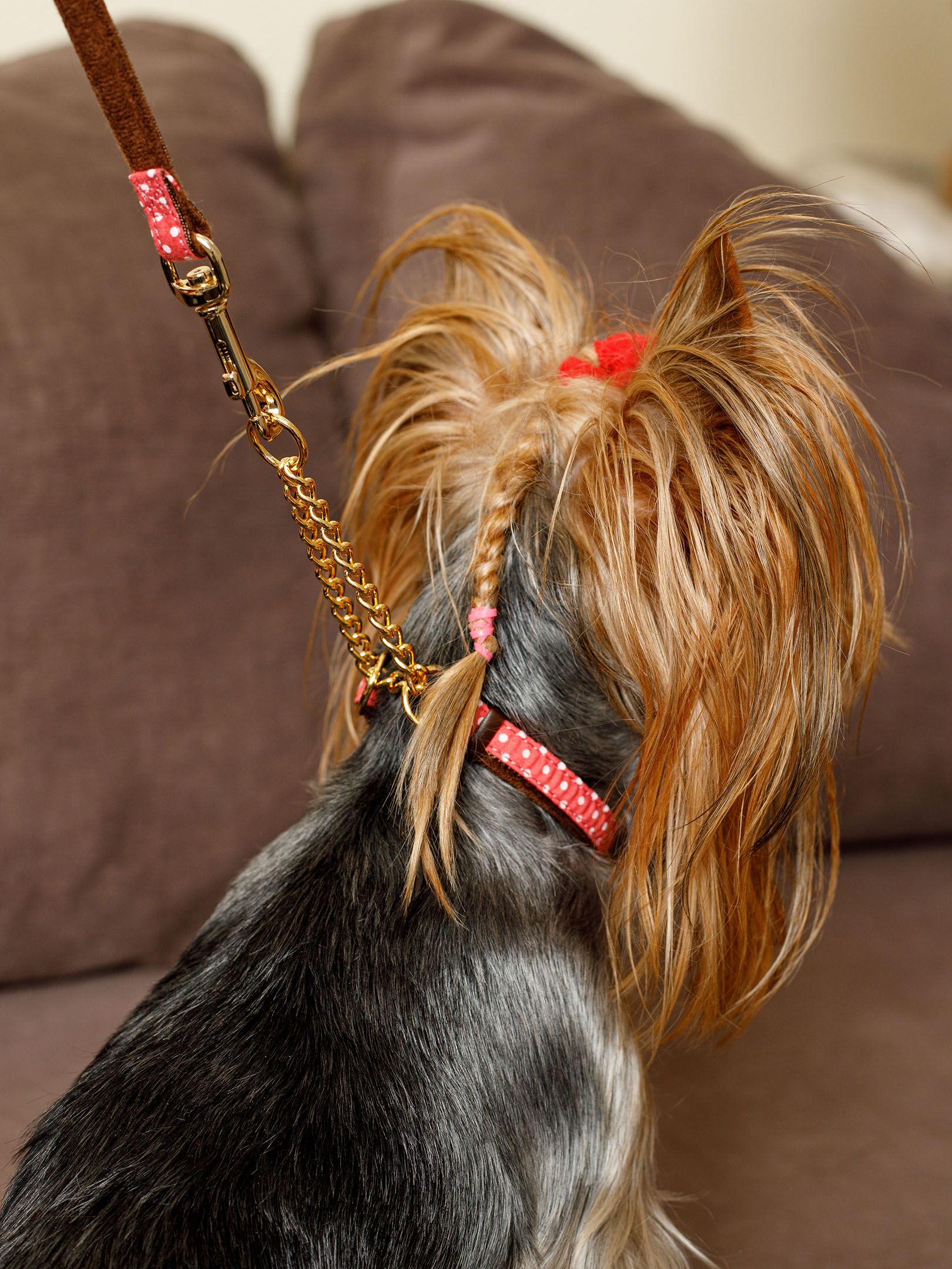 Product DAC0668581 photo 5