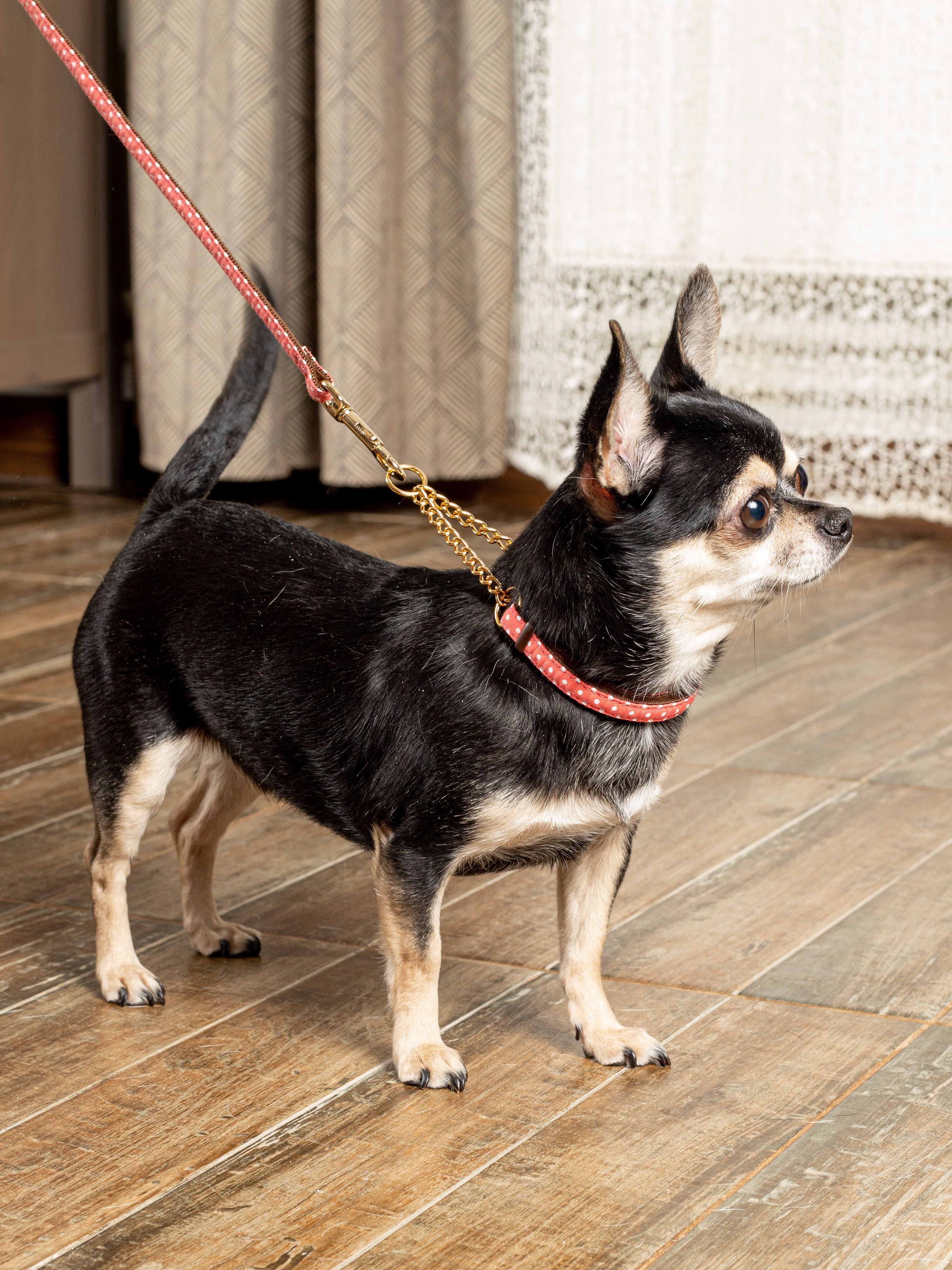 Product DAC0668581 photo 7